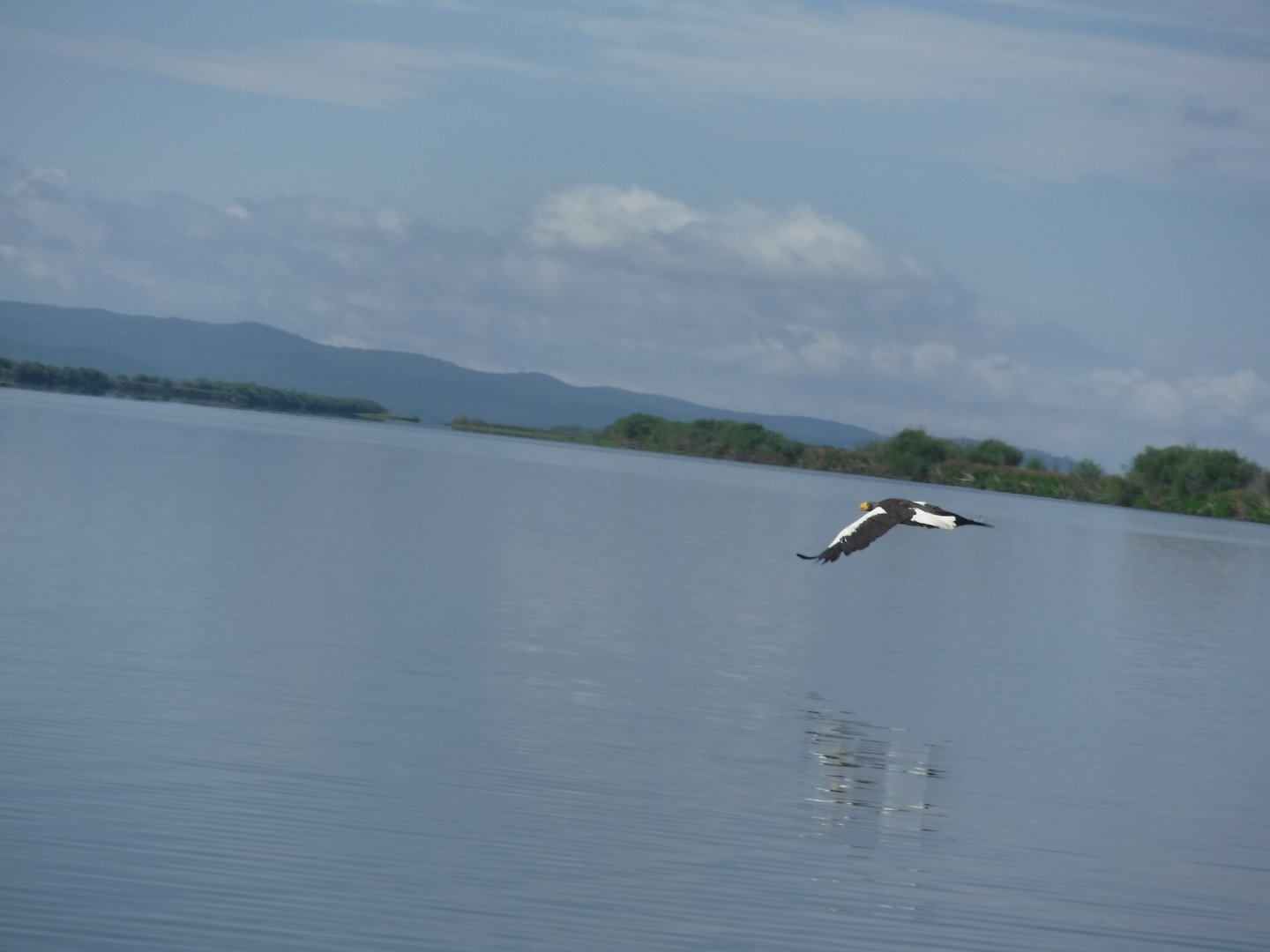 DSCF3267.JPG