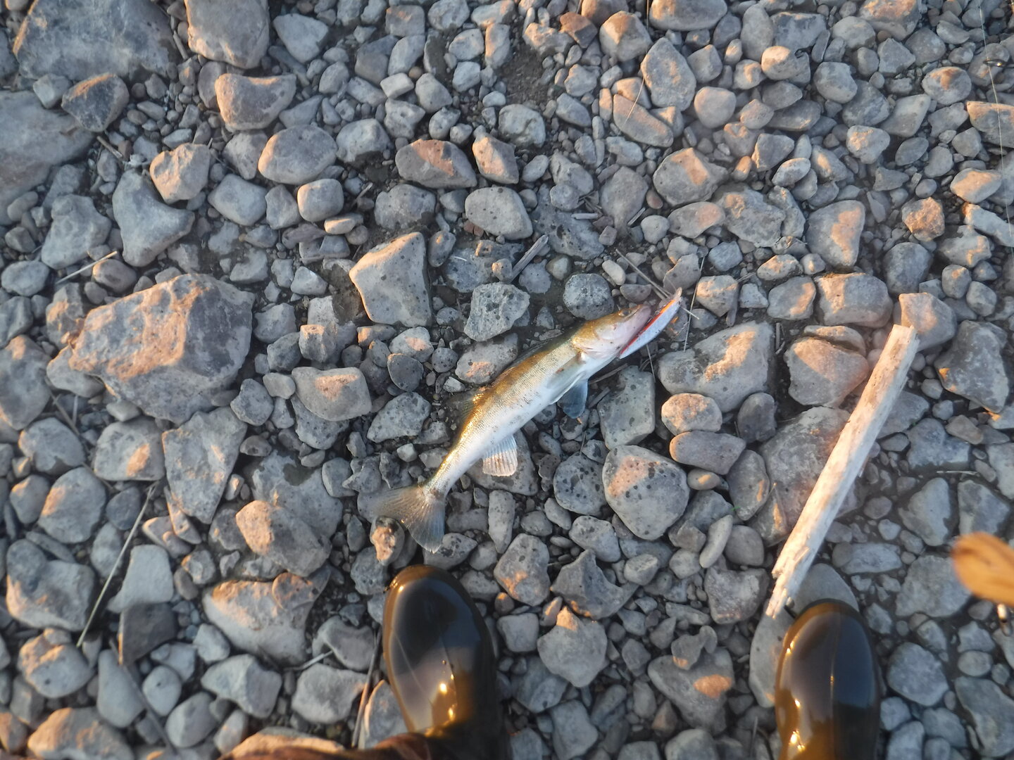 DSCF3267.JPG