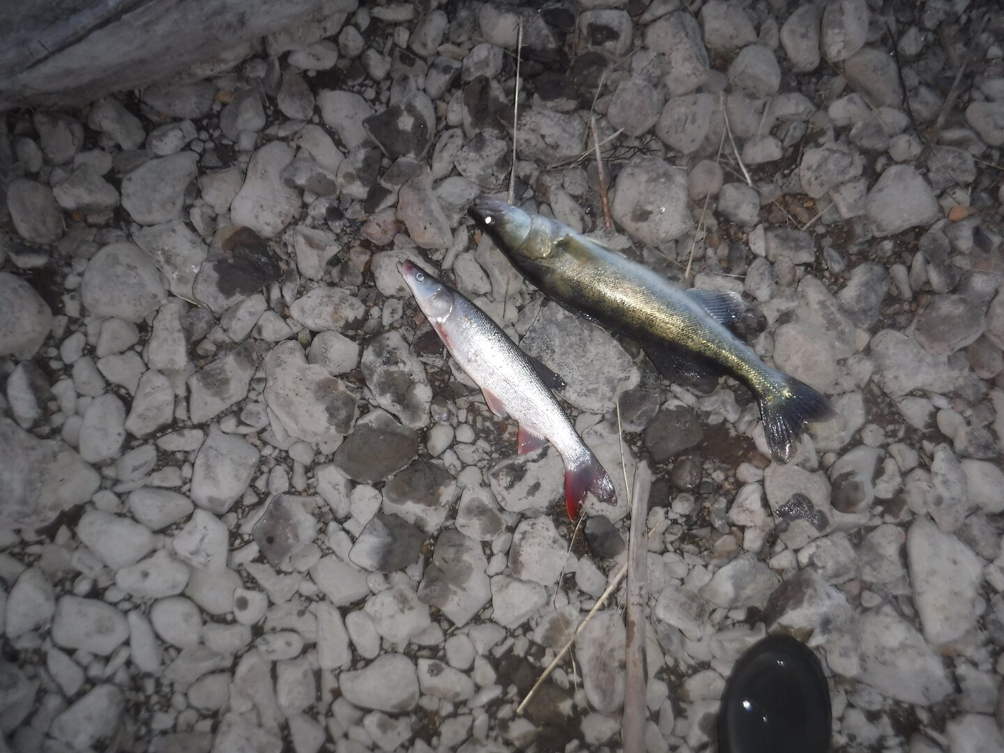 DSCF3280.JPG