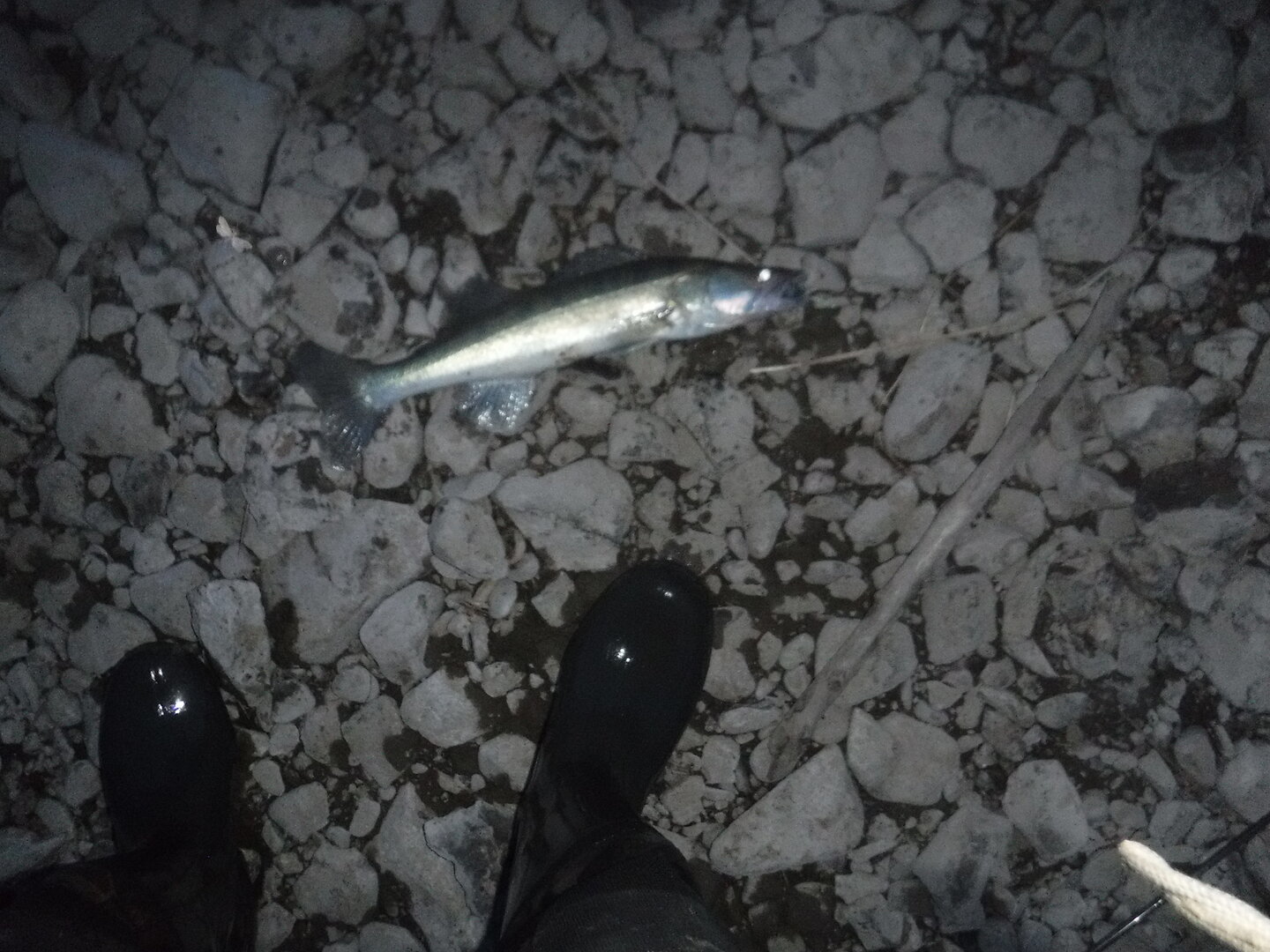 DSCF3286.JPG