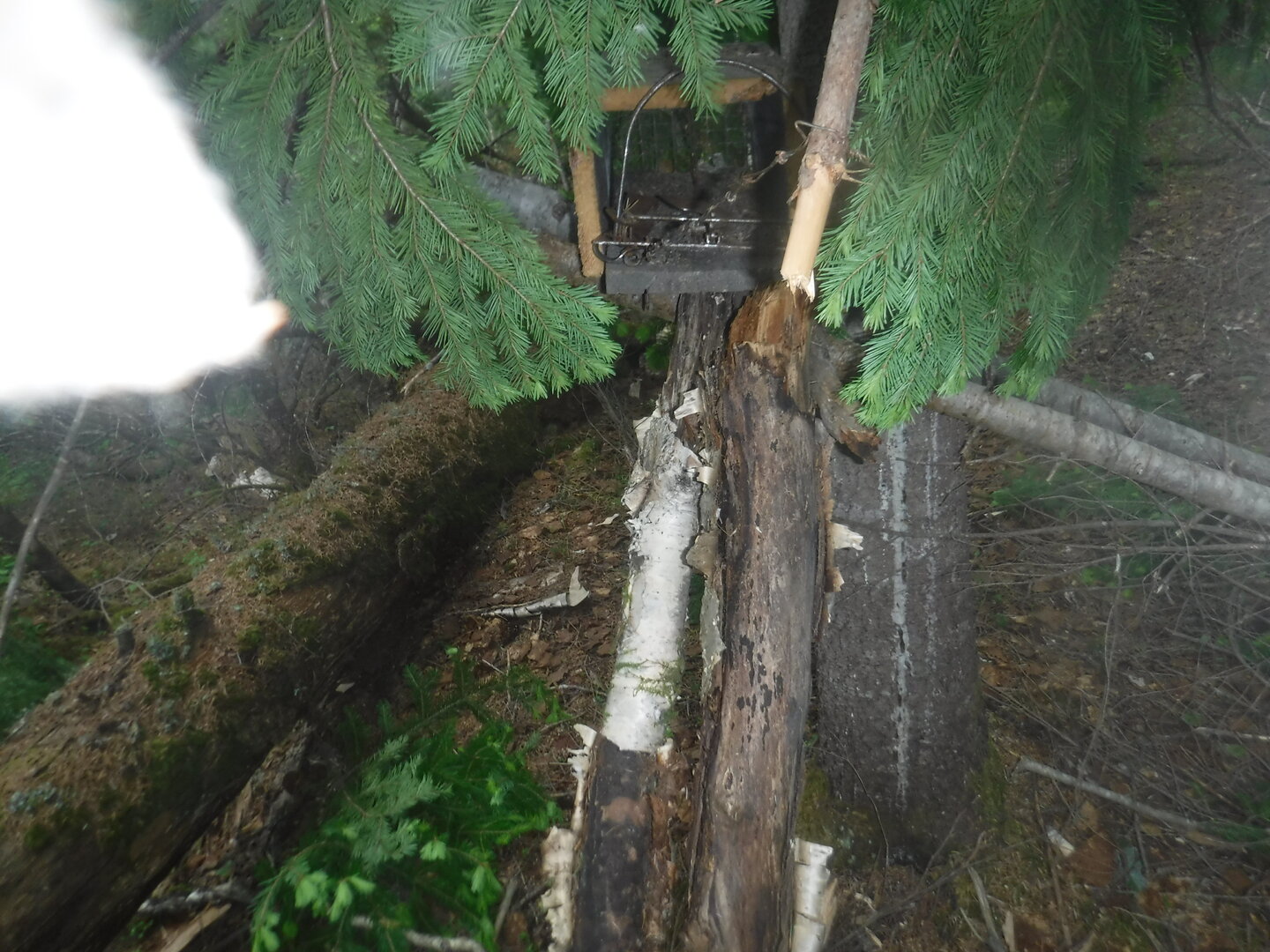 DSCF3299.JPG