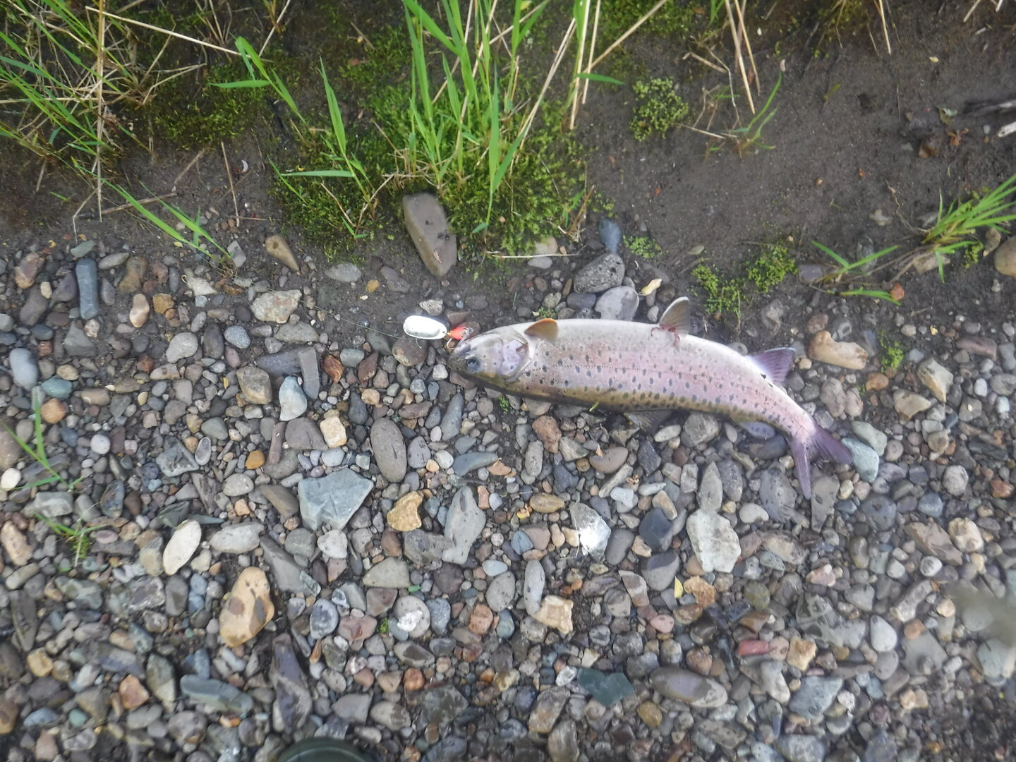 DSCF3313.JPG