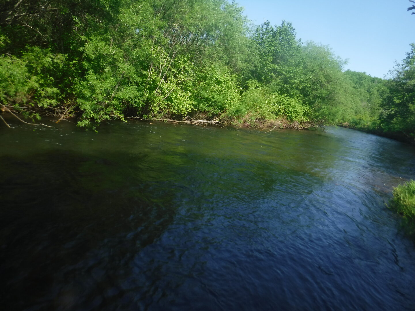 DSCF3315.JPG