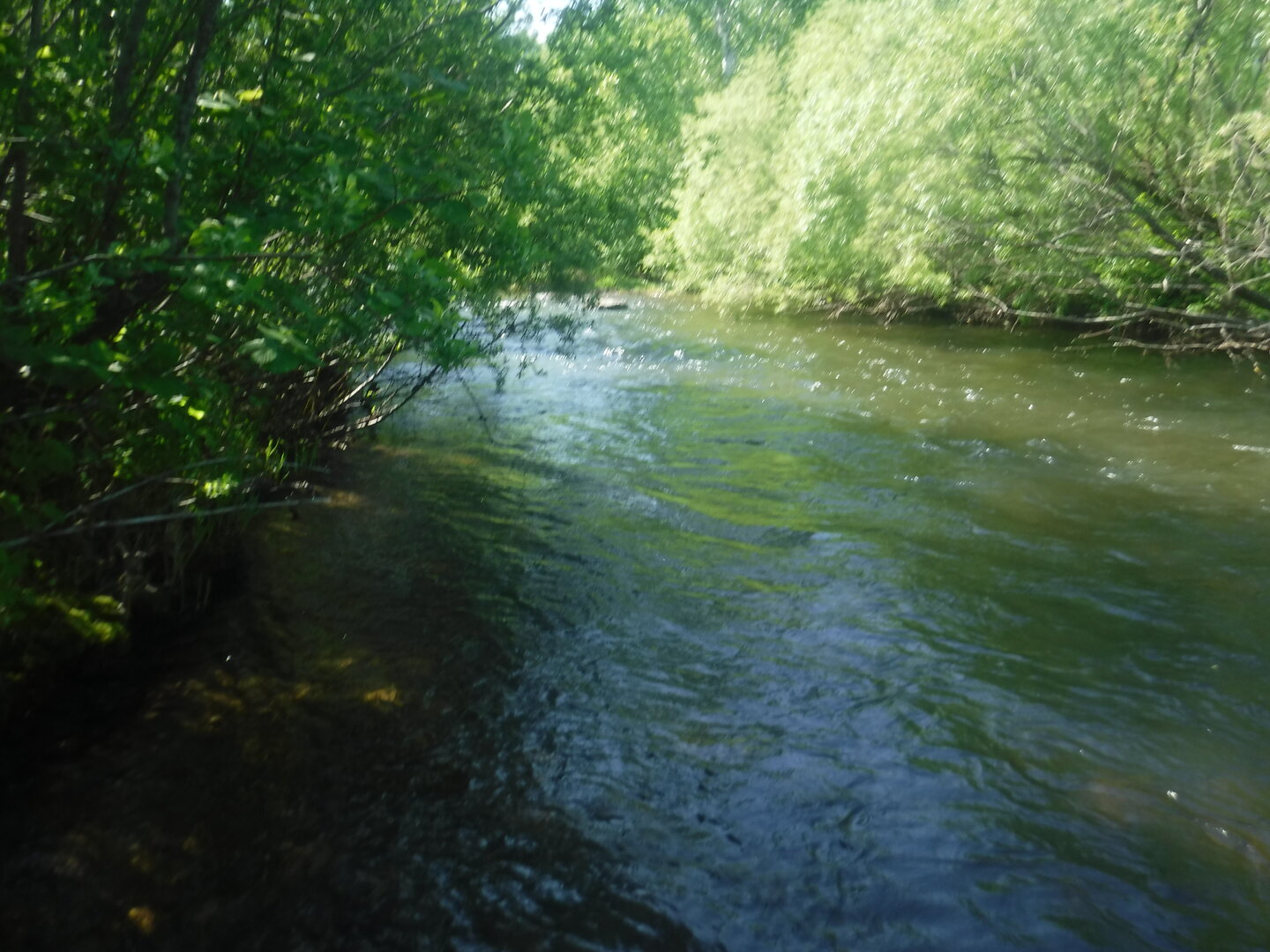 DSCF3316.JPG