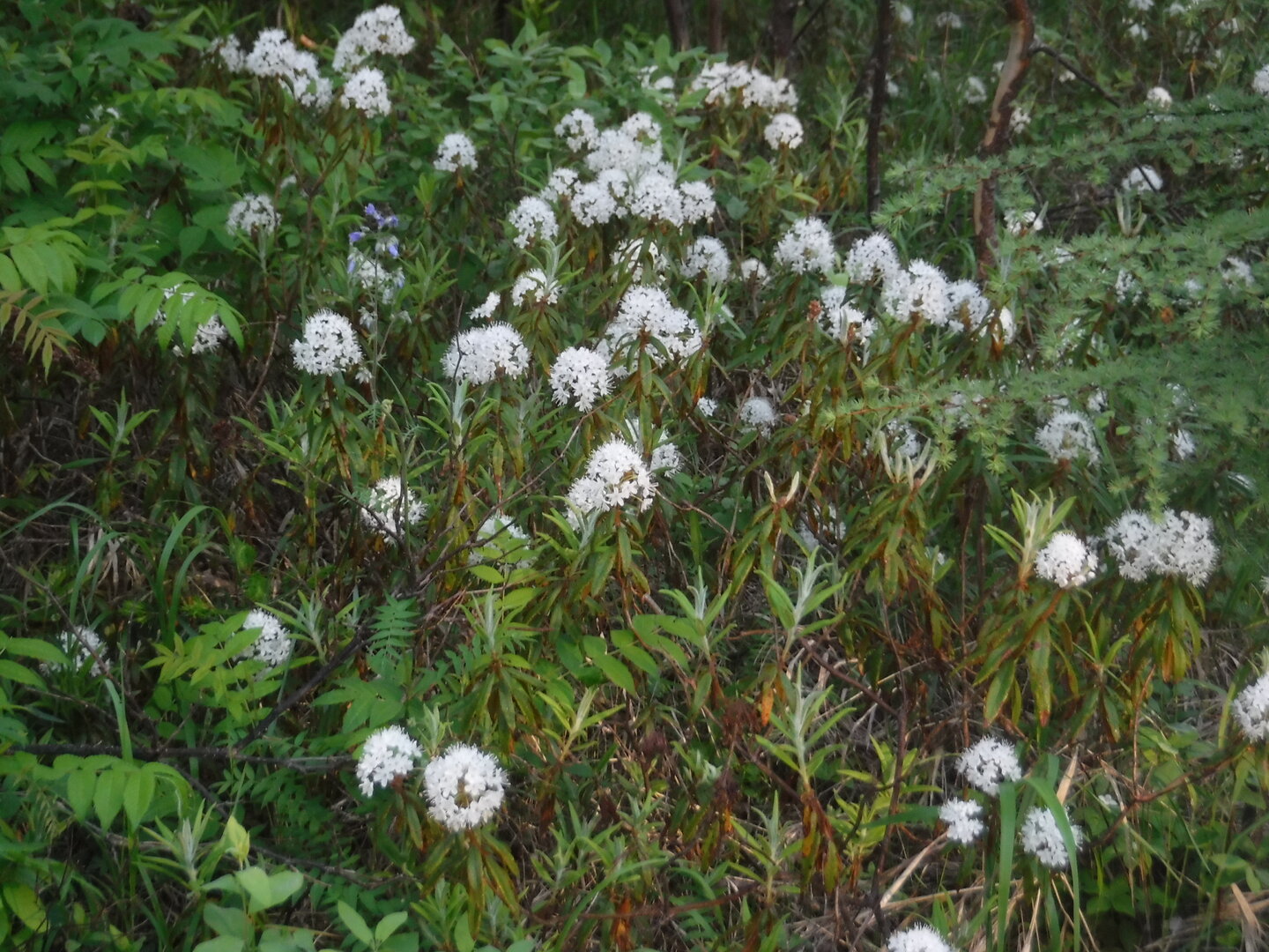 DSCF3329.JPG