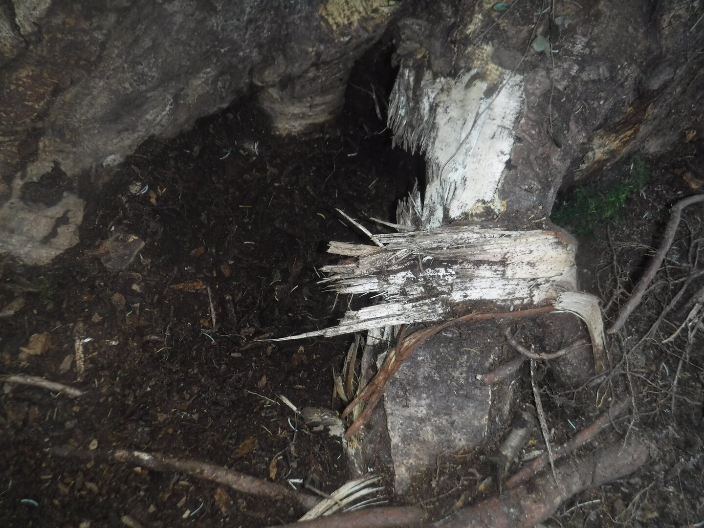 DSCF3351.JPG