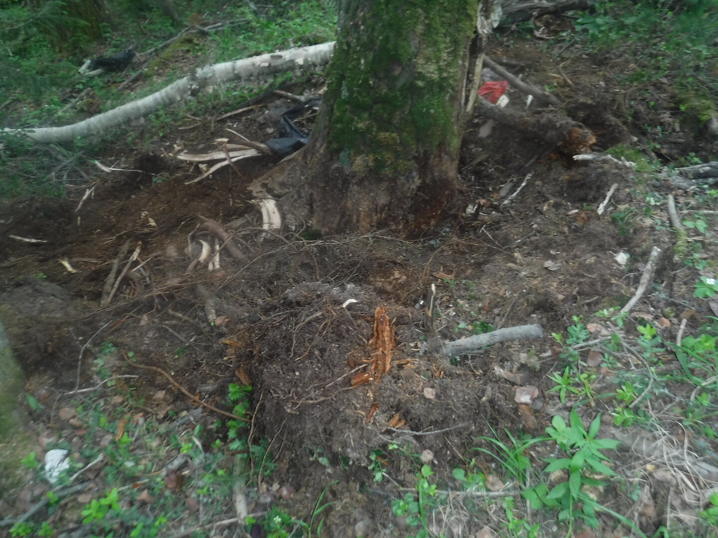 DSCF3352.JPG