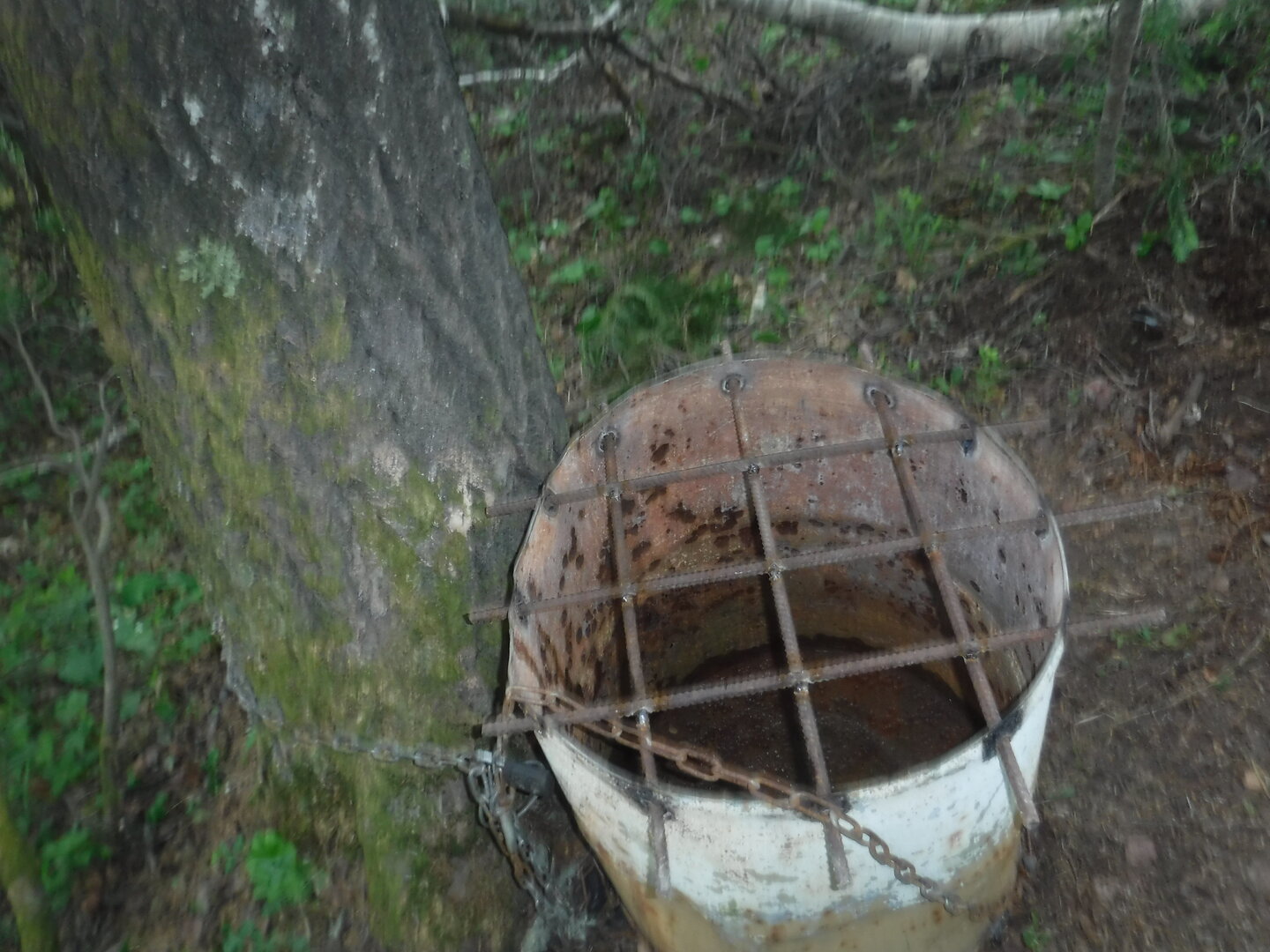DSCF3354.JPG