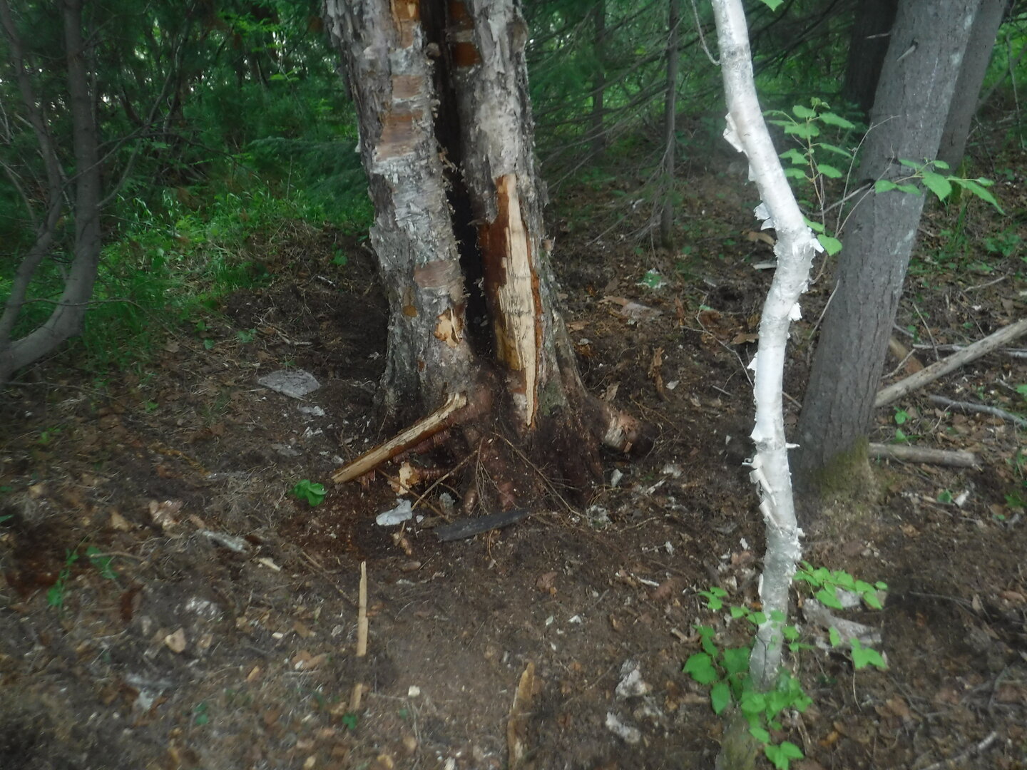 DSCF3355.JPG
