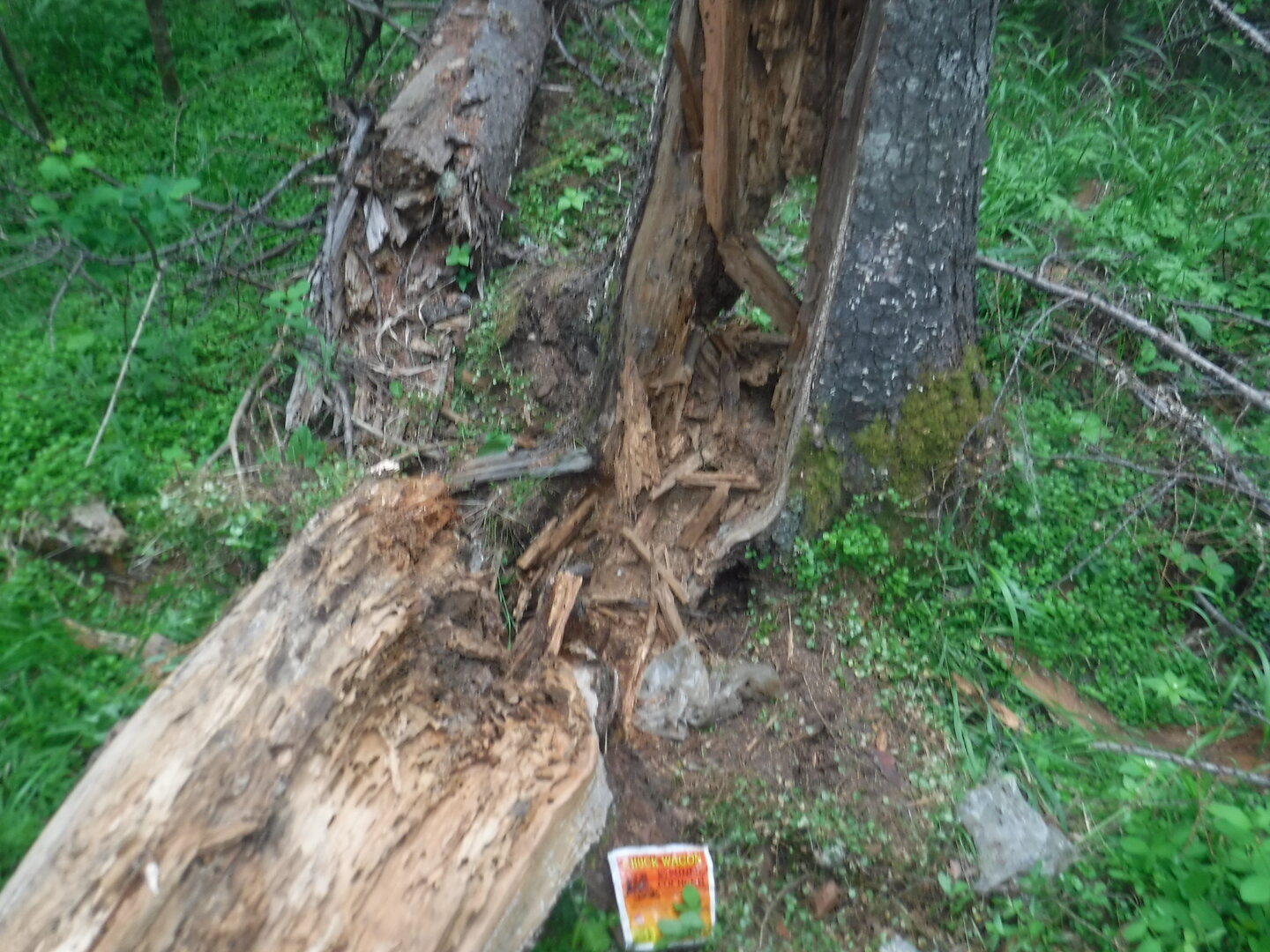DSCF3357.JPG