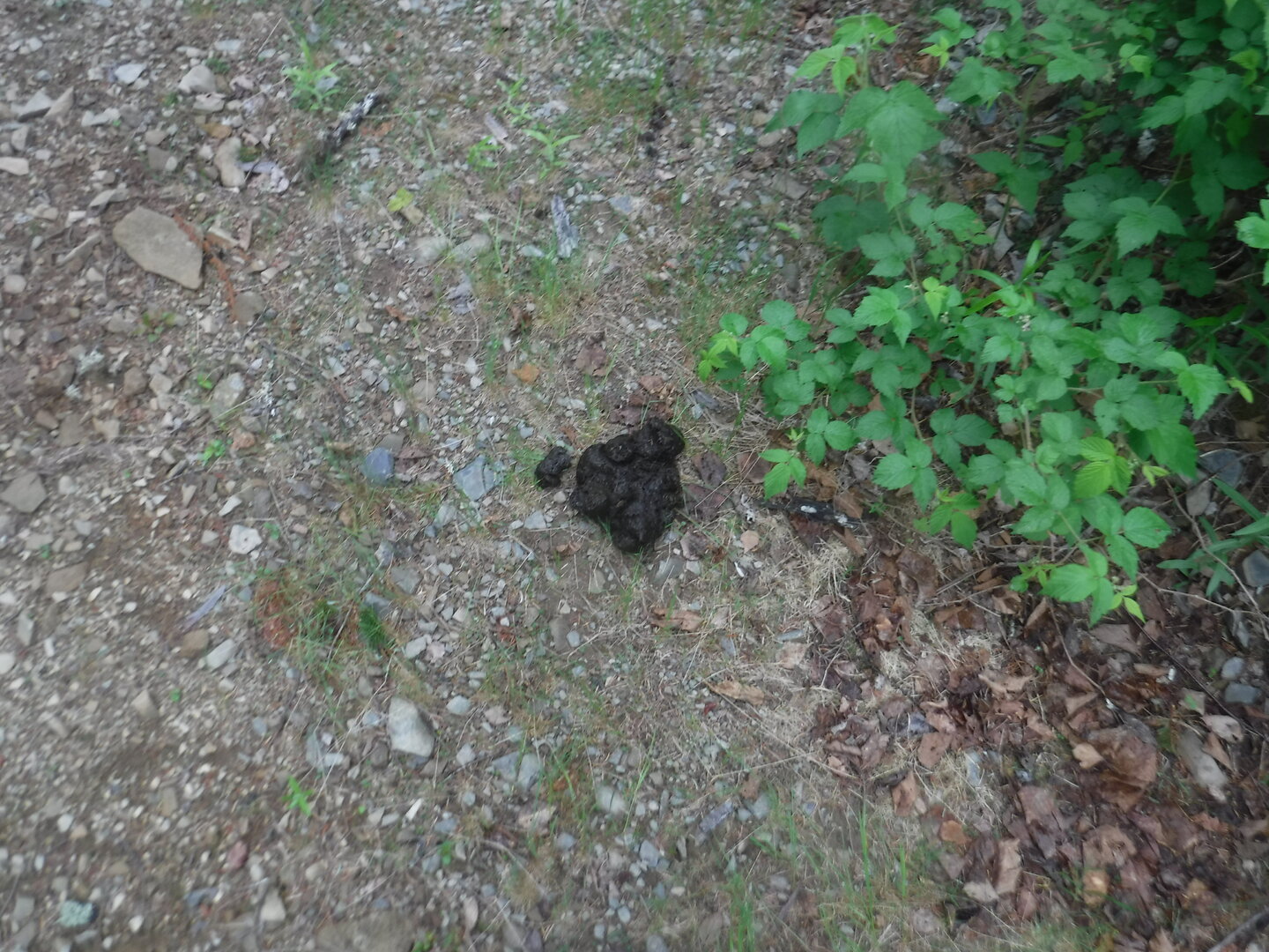 DSCF3359.JPG