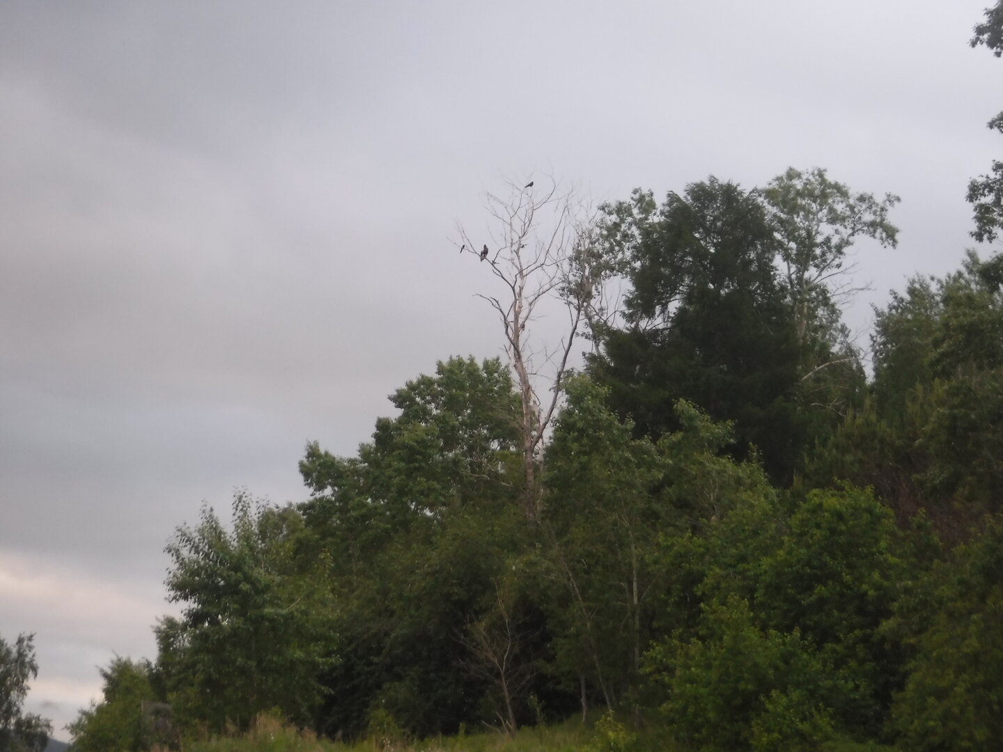 DSCF3361.JPG