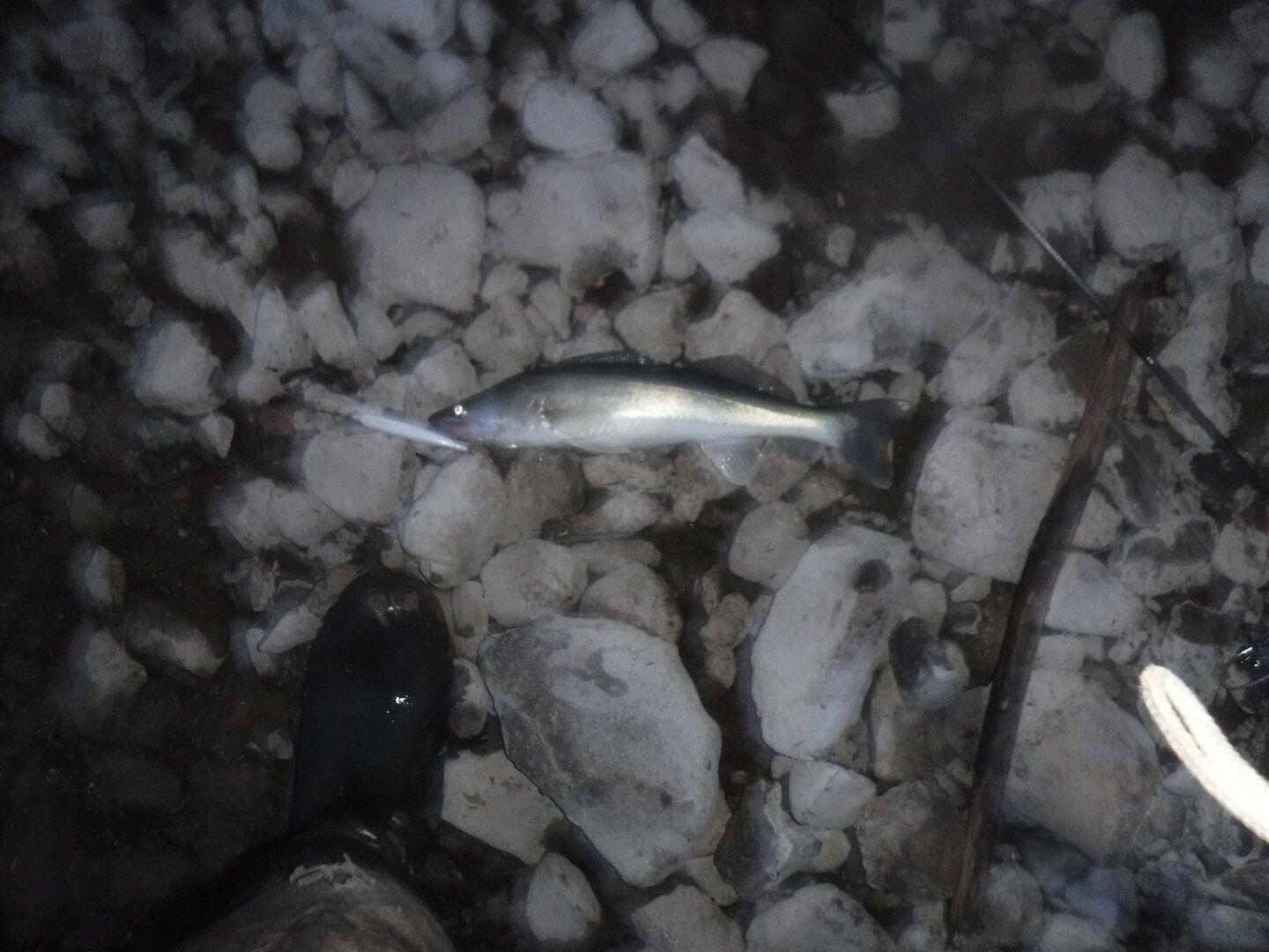 DSCF3368.JPG