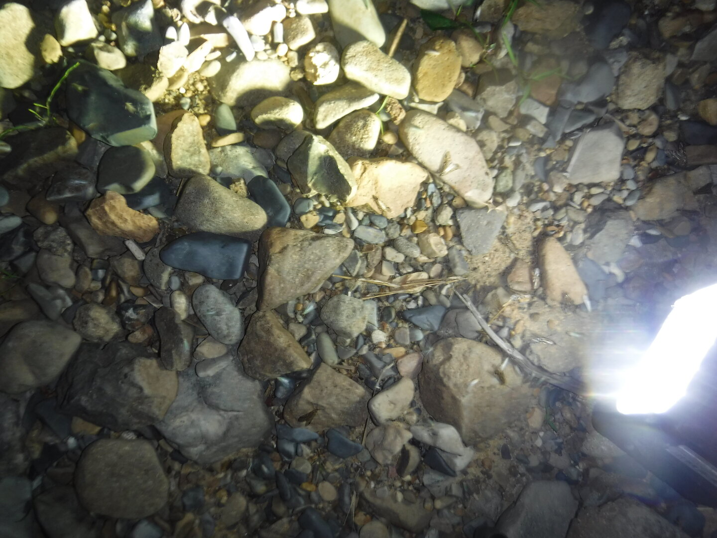 DSCF3369.JPG