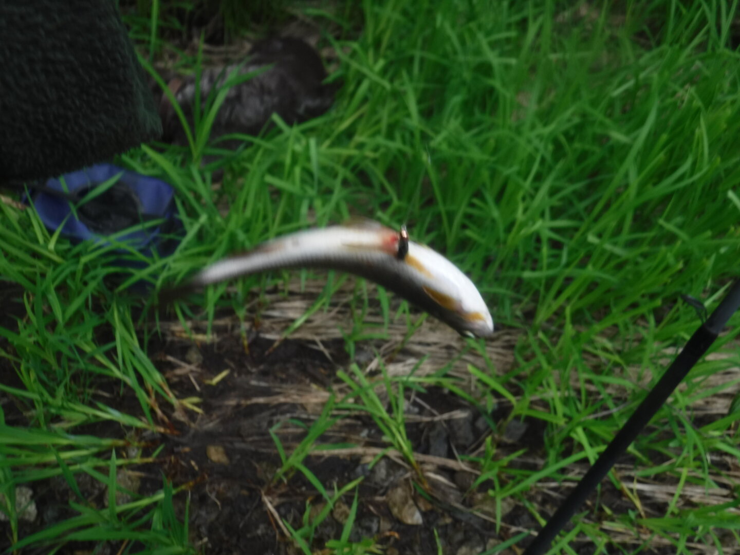 DSCF3381.JPG