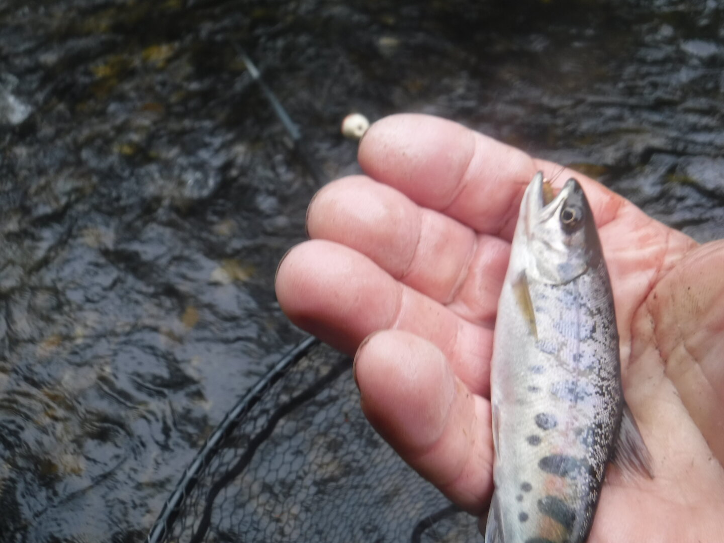 DSCF3383.JPG