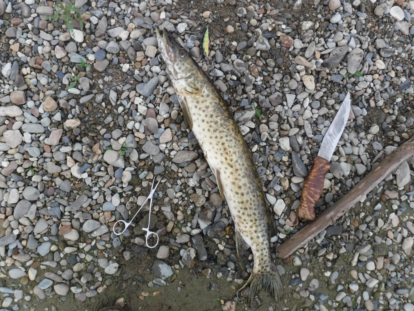 DSCF3392.JPG