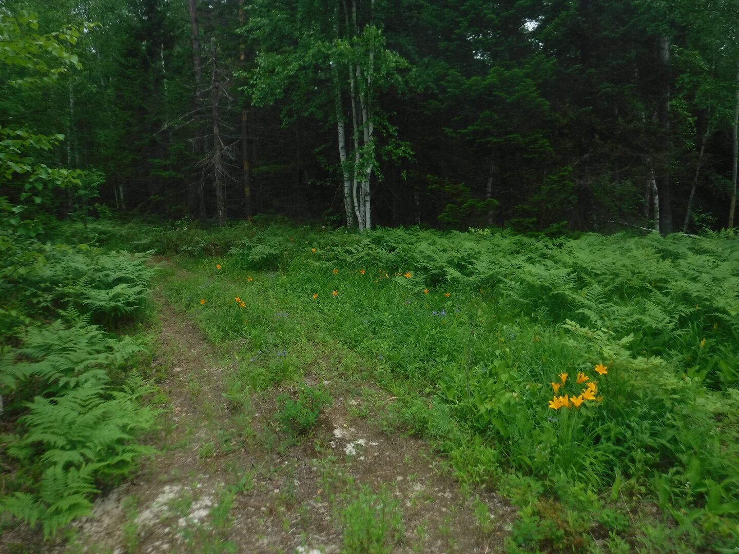 DSCF3392.JPG