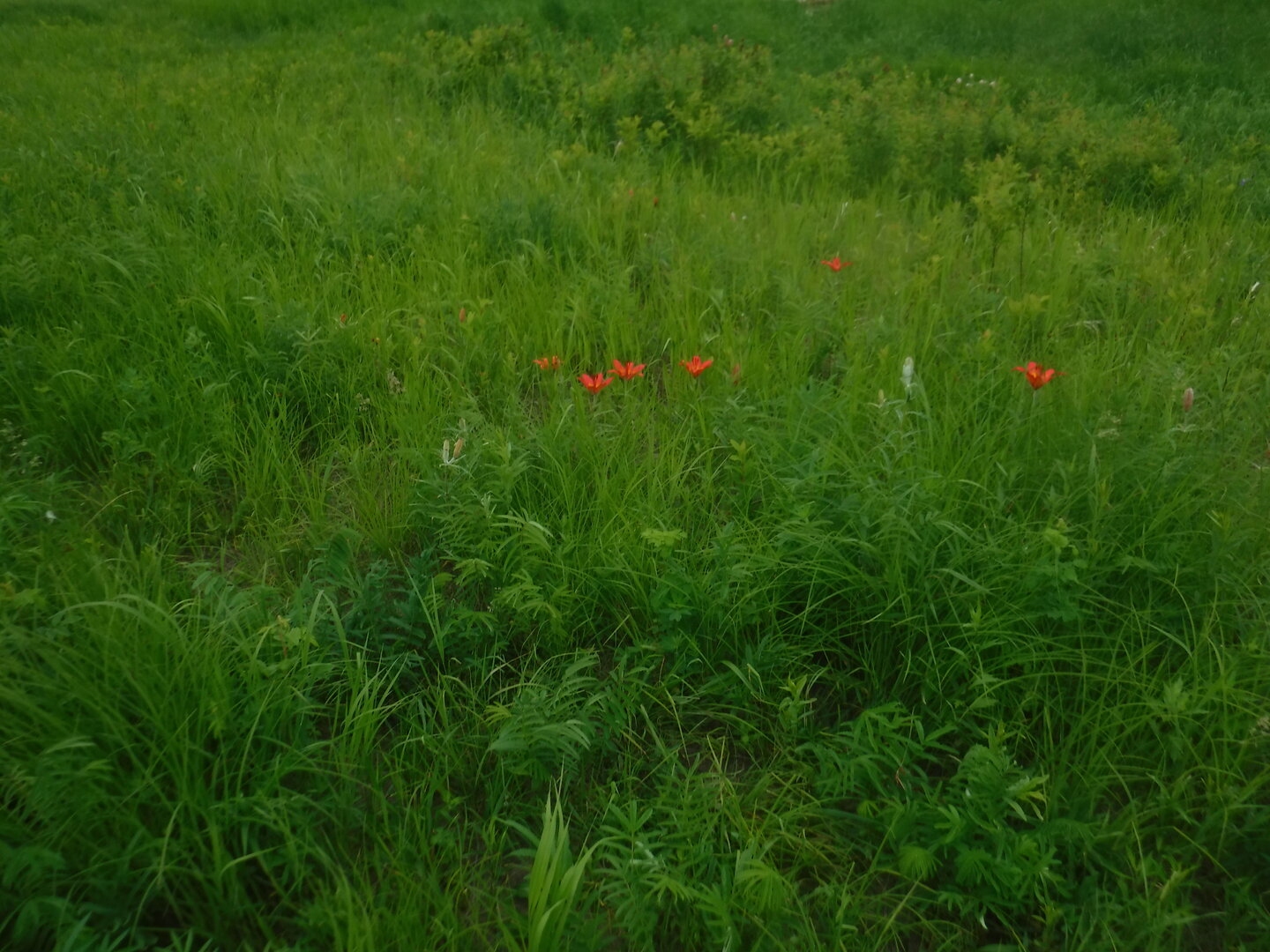 DSCF3394.JPG