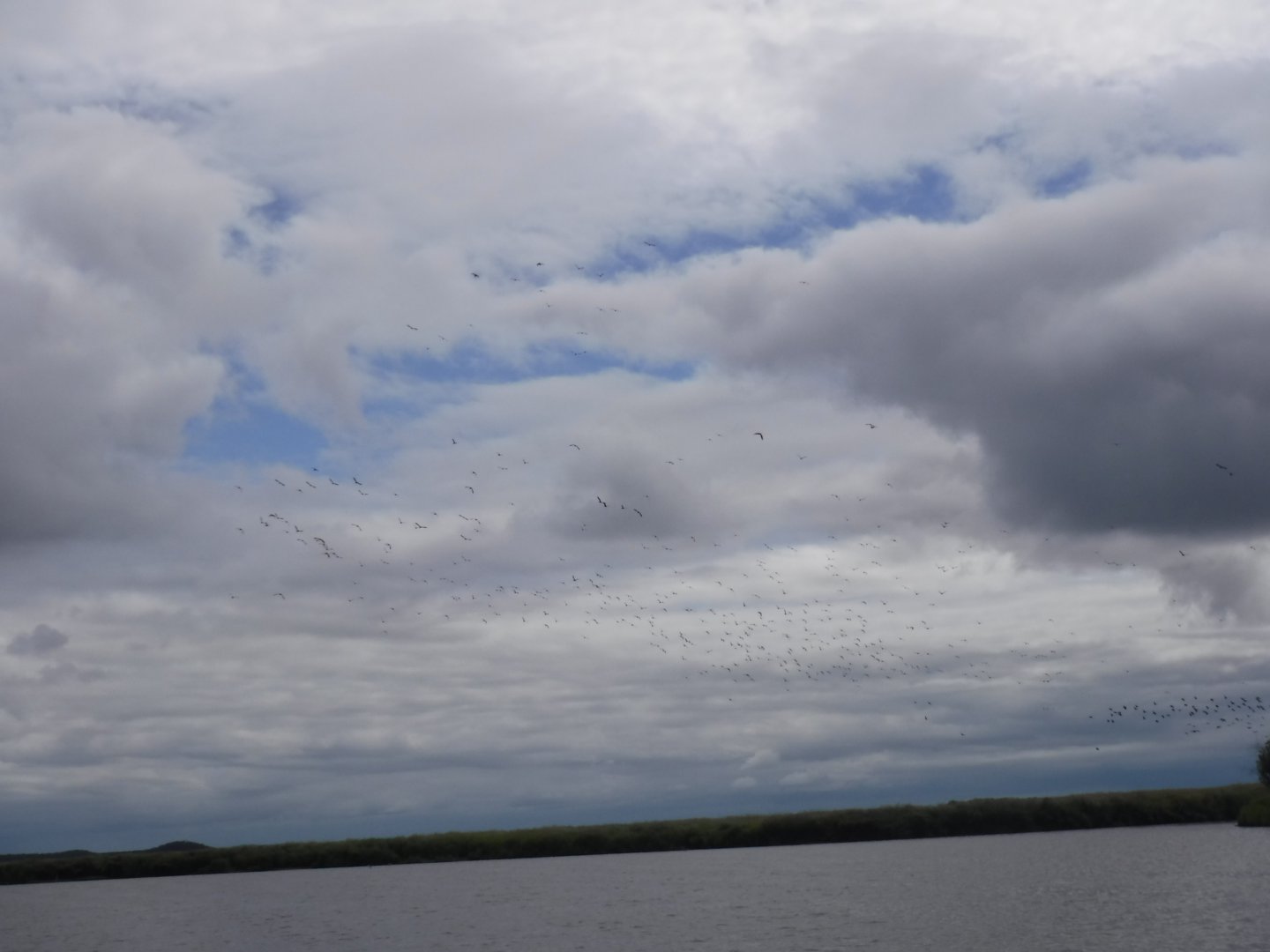 DSCF3398.JPG