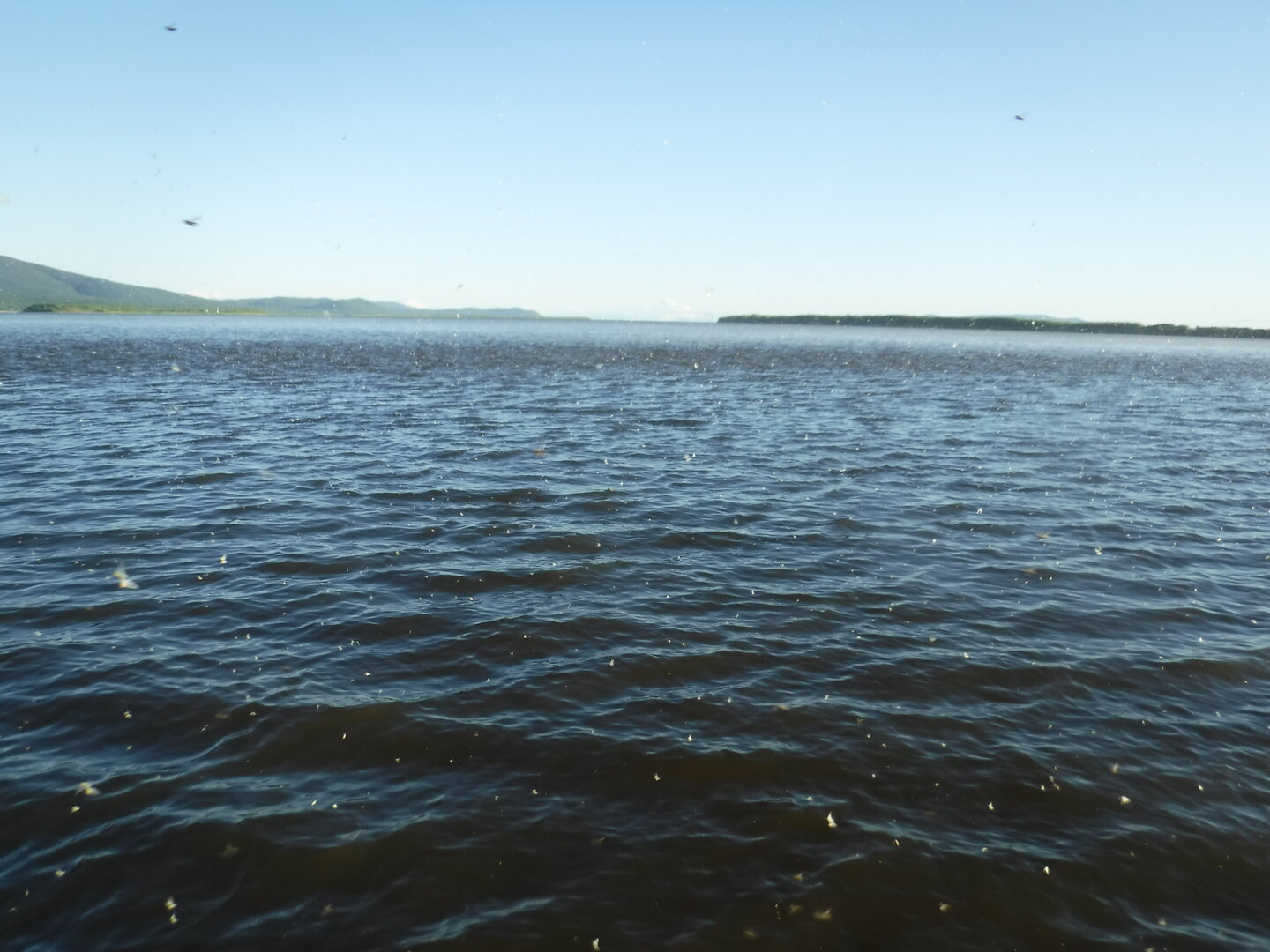 DSCF3398.JPG