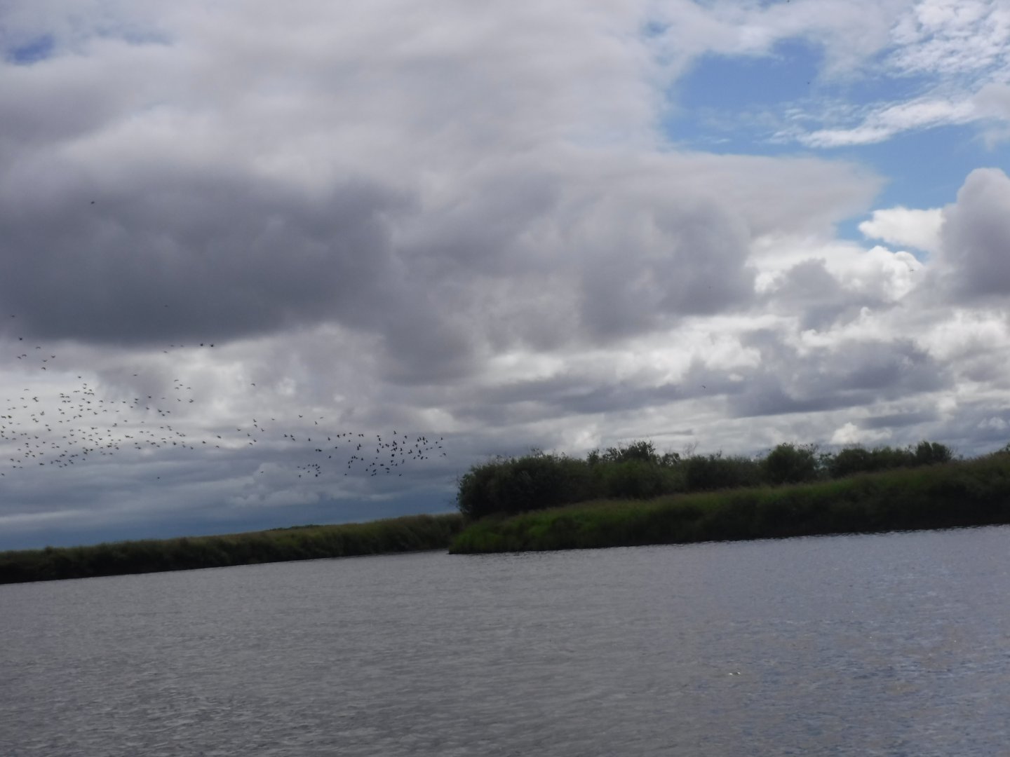 DSCF3399.JPG
