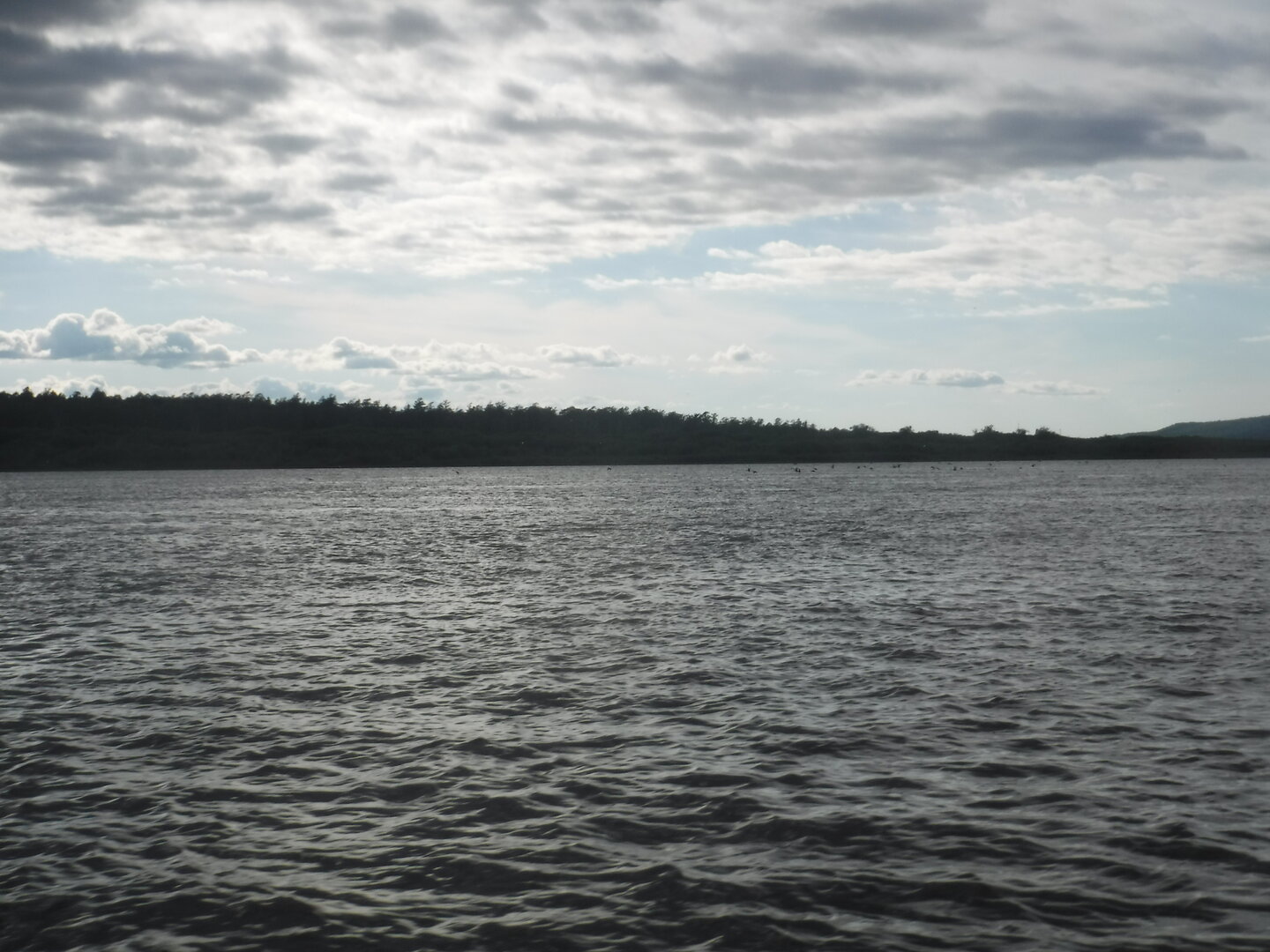 DSCF3415.JPG