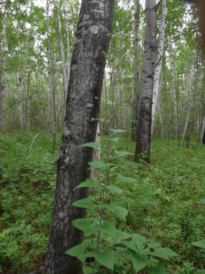 DSCF3420.JPG