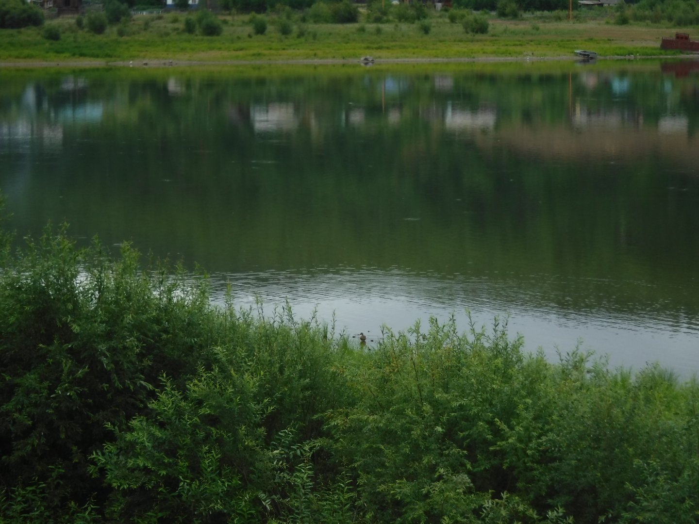 DSCF3442.JPG