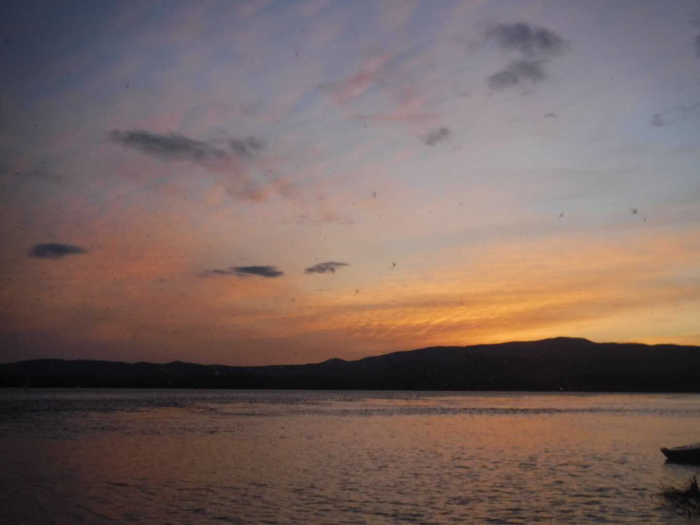 DSCF3442.JPG