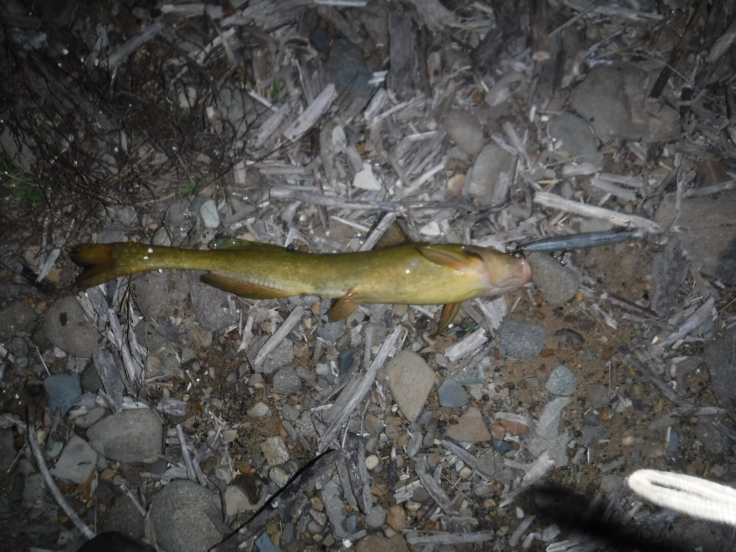 DSCF3446.JPG