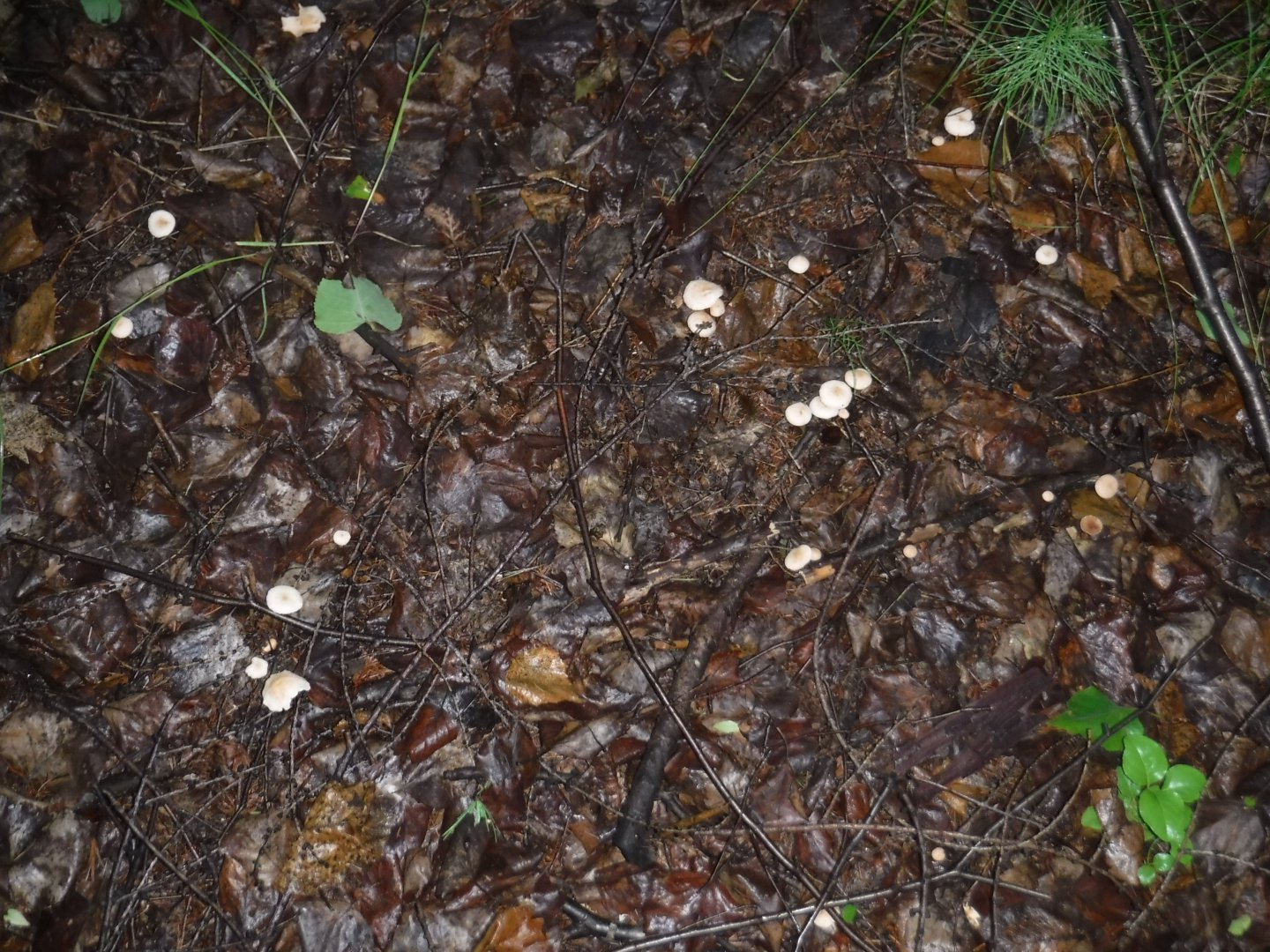 DSCF3455.JPG