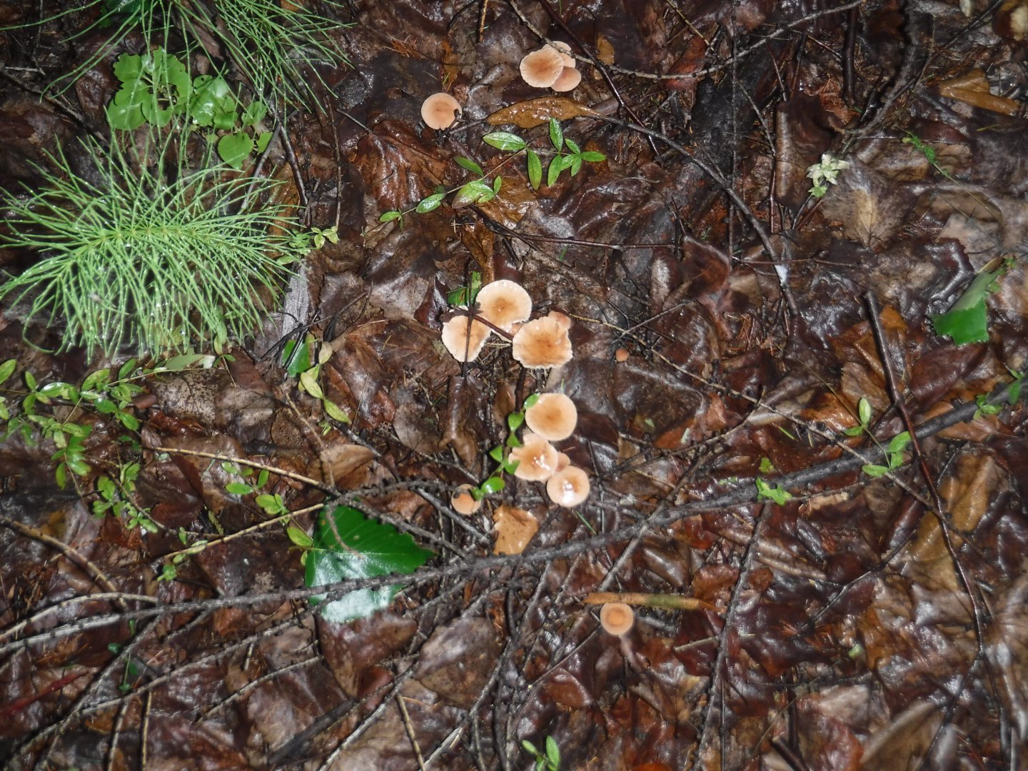 DSCF3456.JPG
