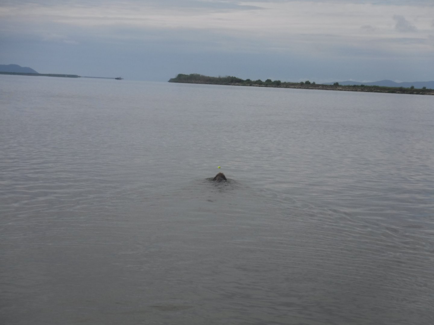 DSCF3476.JPG