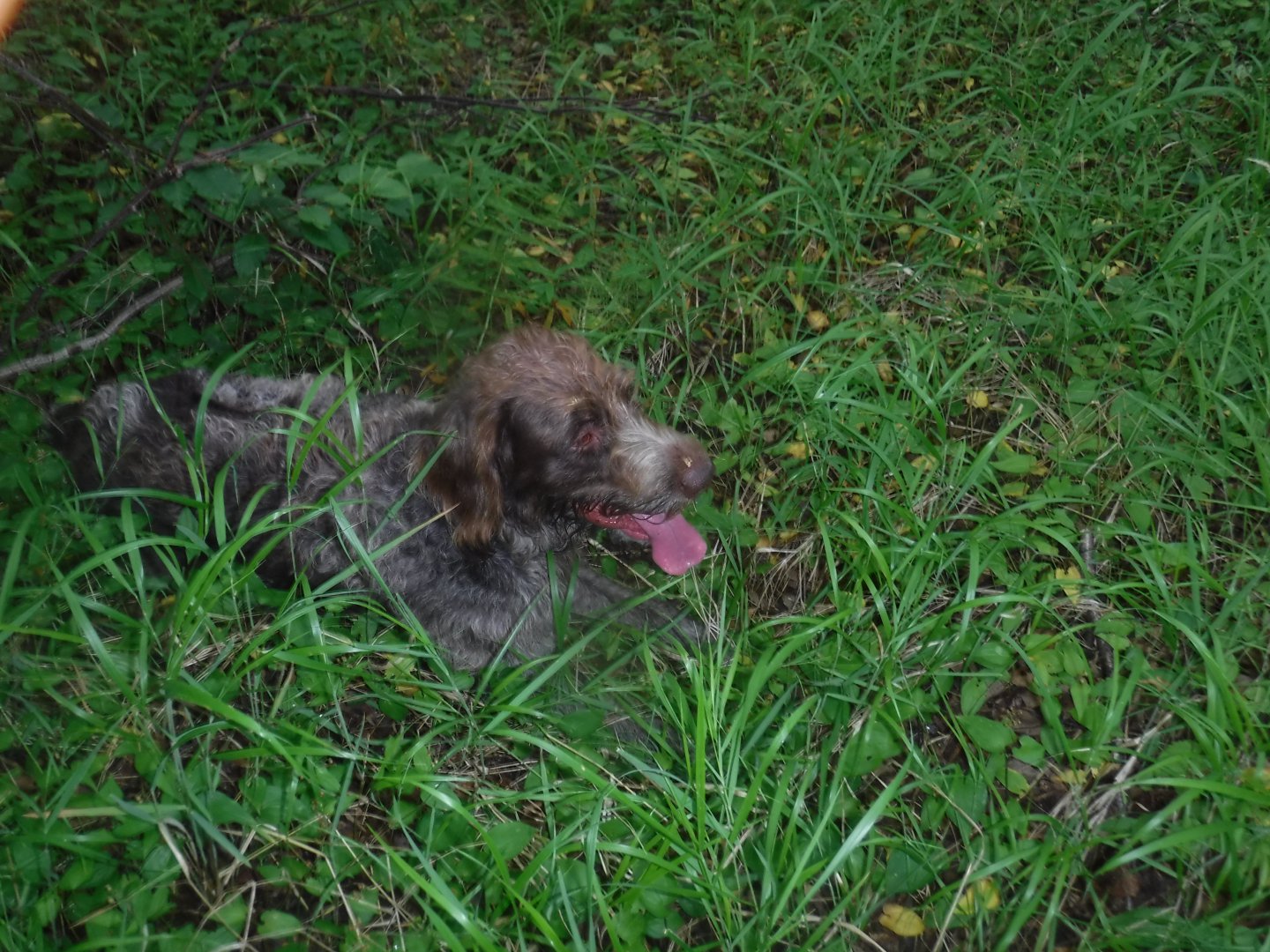 DSCF3500.JPG
