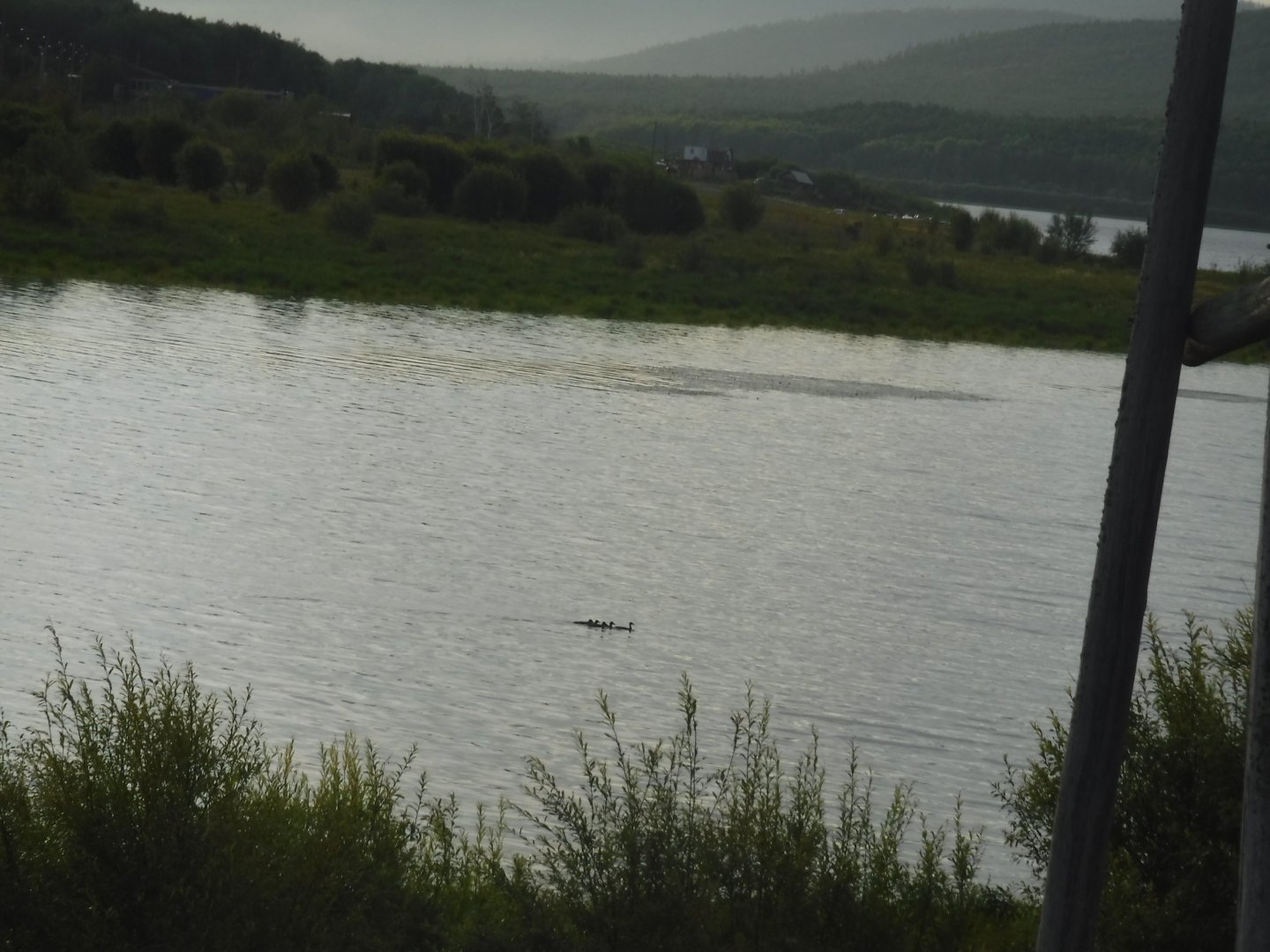 DSCF3513.JPG