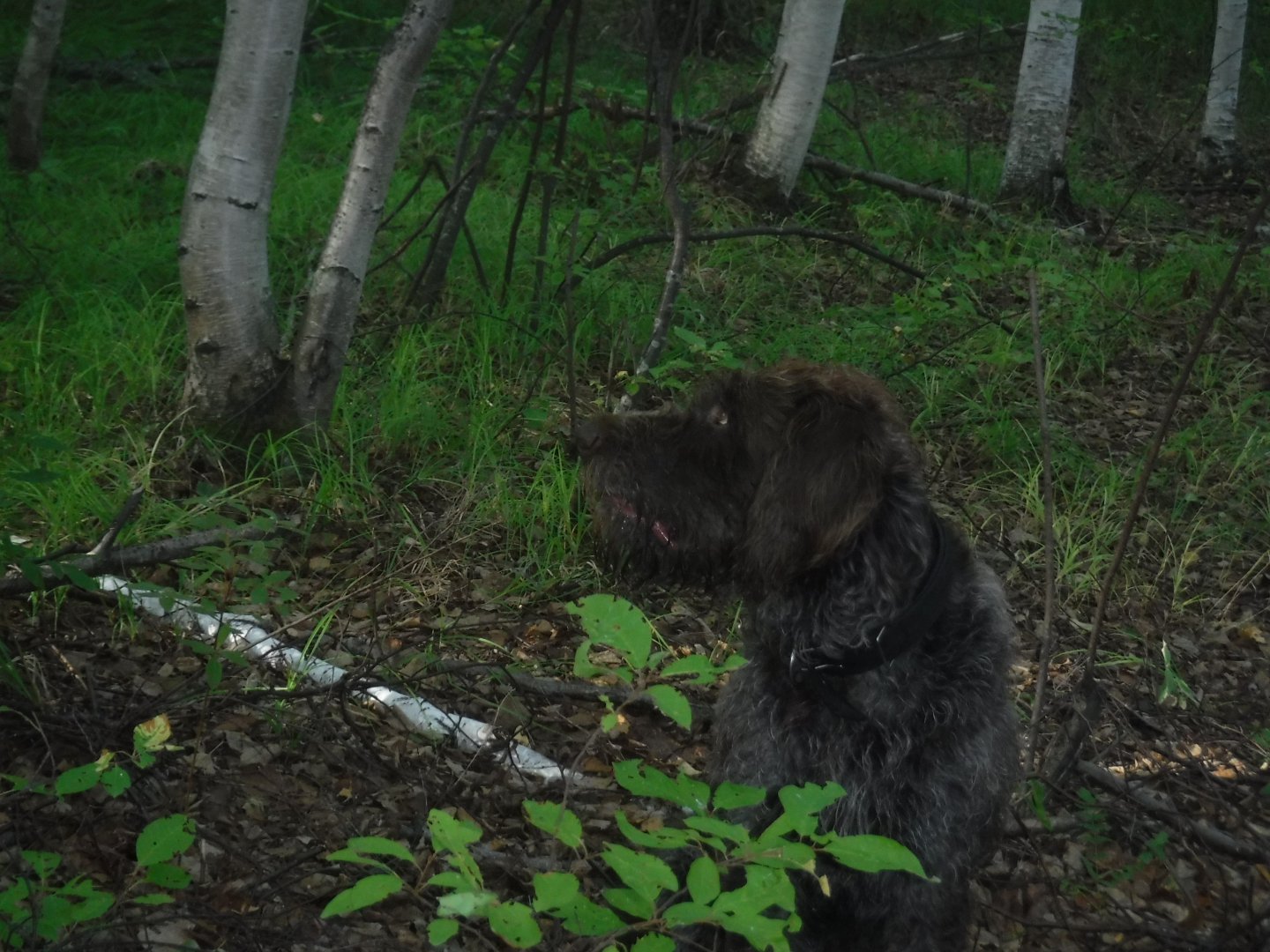 DSCF3526.JPG