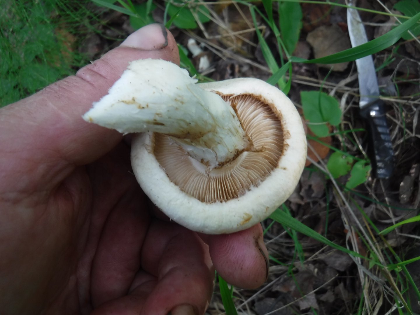 DSCF3536.JPG