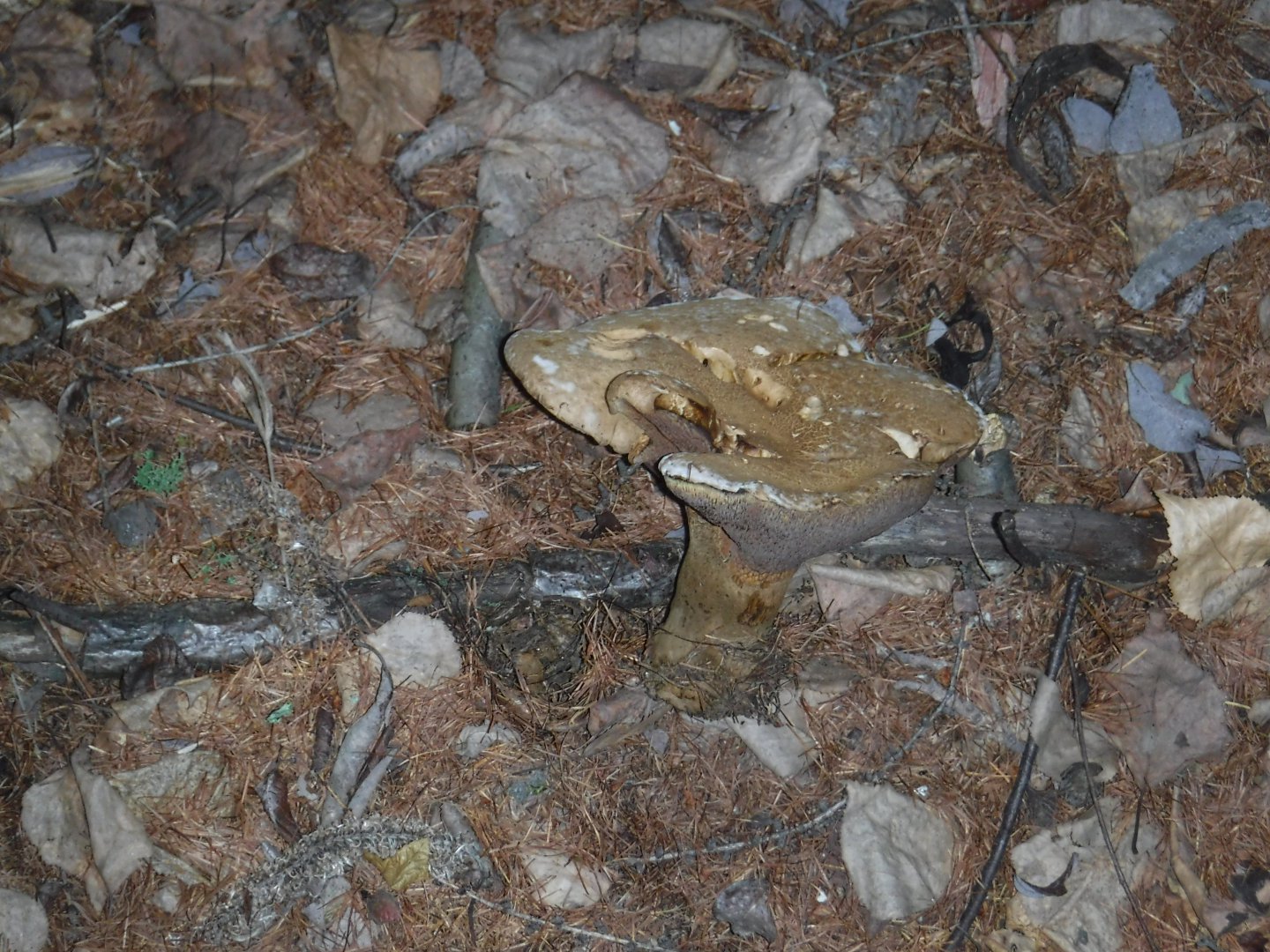 DSCF3556.JPG