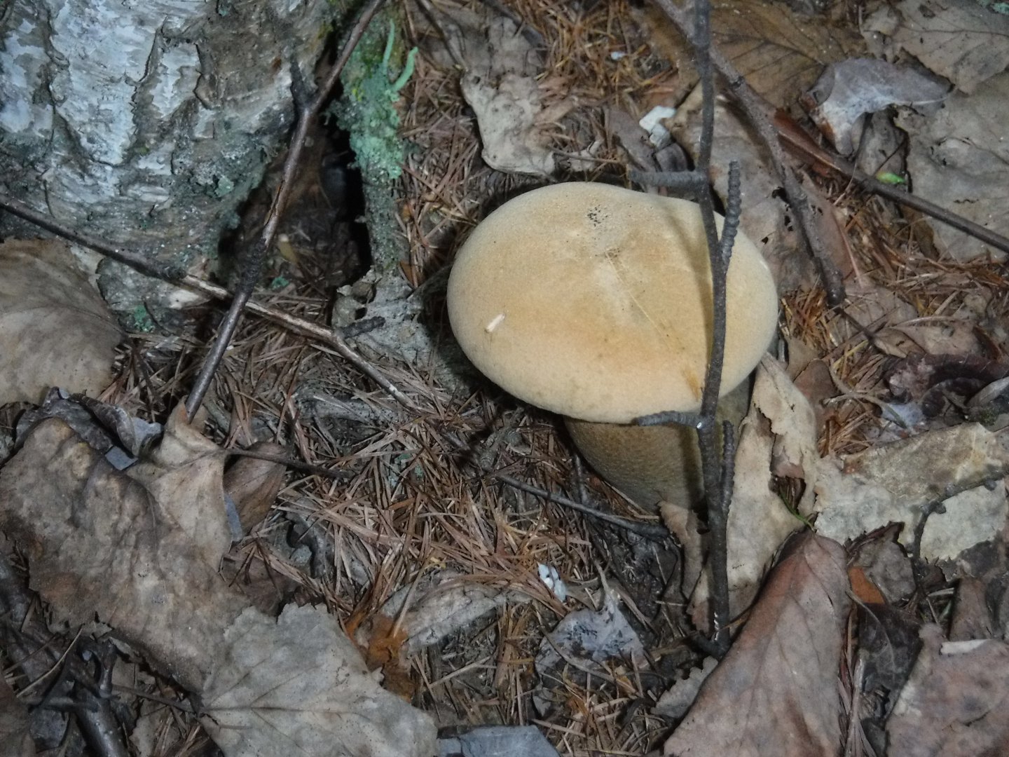DSCF3559.JPG
