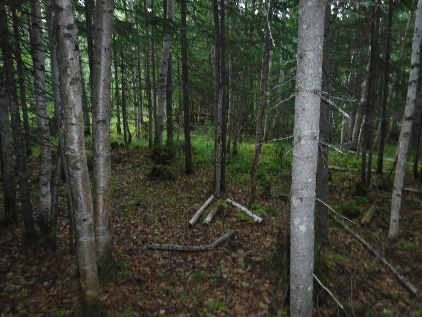 DSCF3564.JPG