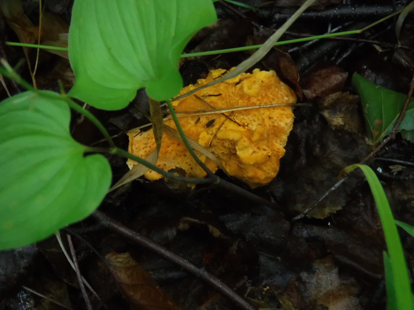 DSCF3572.JPG