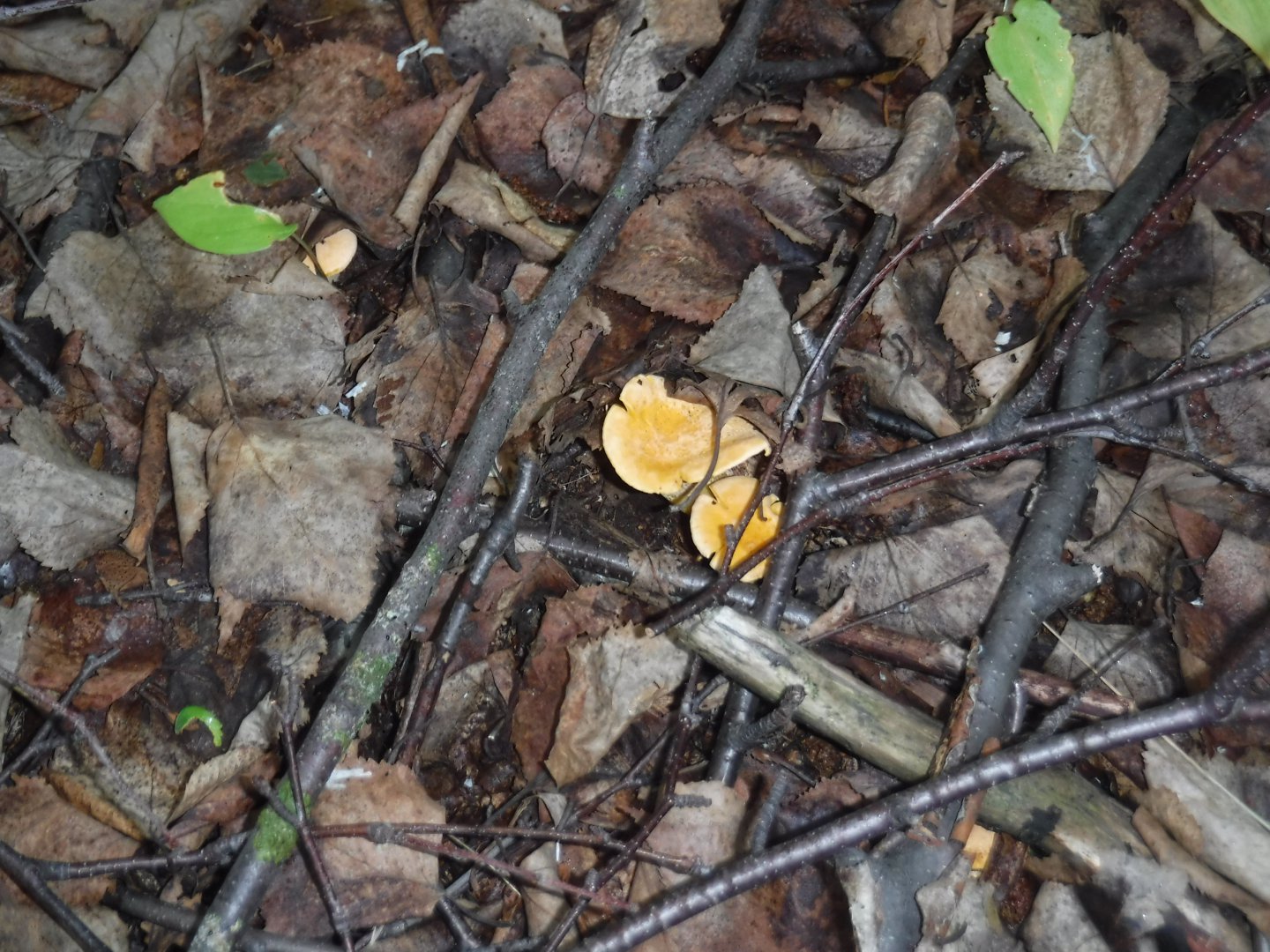 DSCF3588.JPG