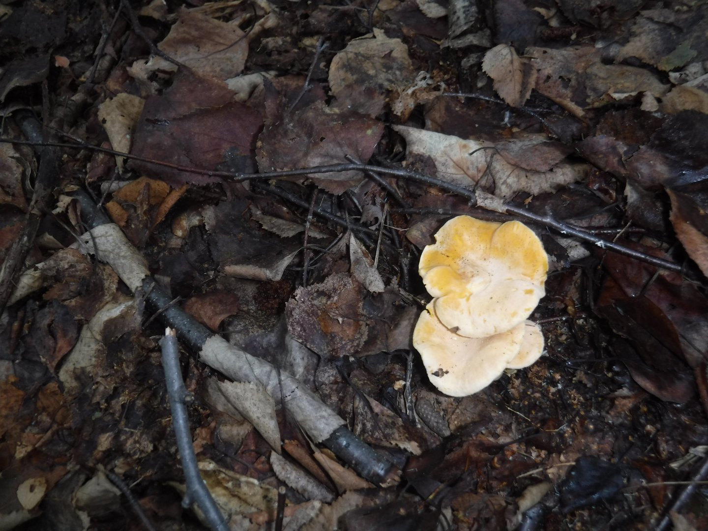 DSCF3591.JPG