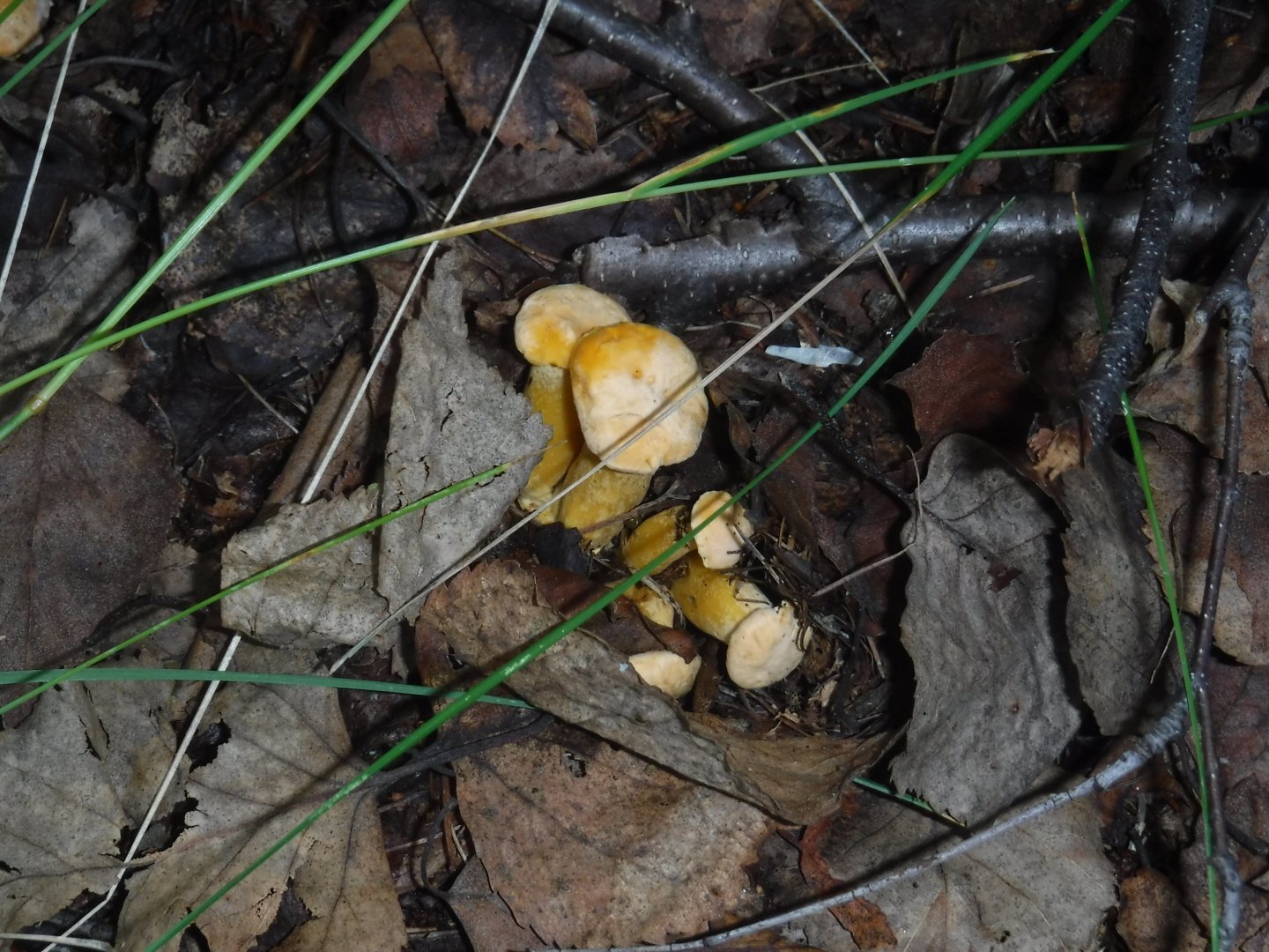 DSCF3598.JPG