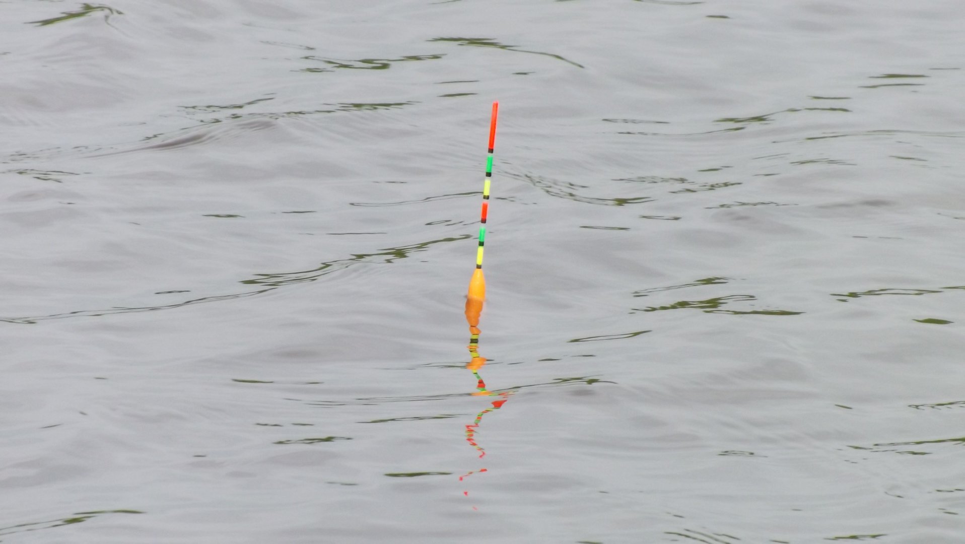 DSCF3714.JPG