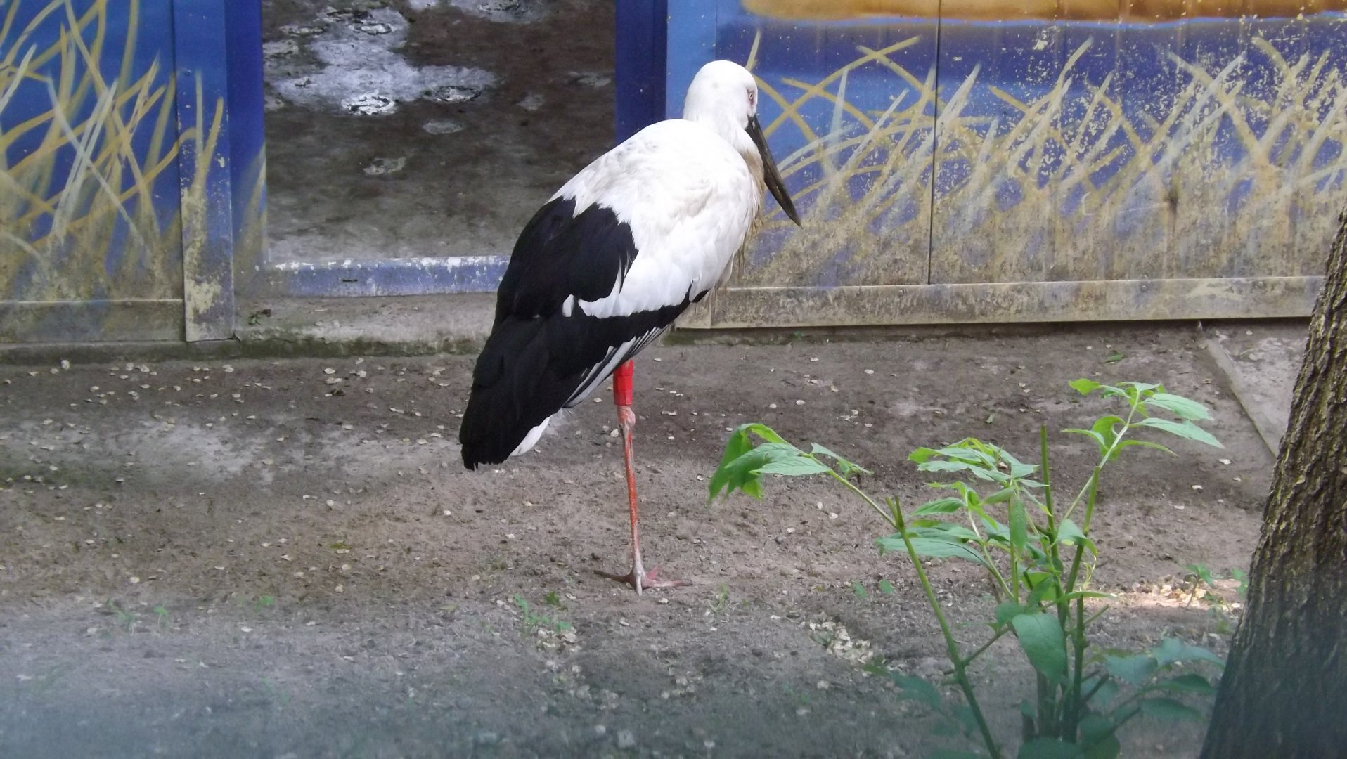 DSCF3744.JPG