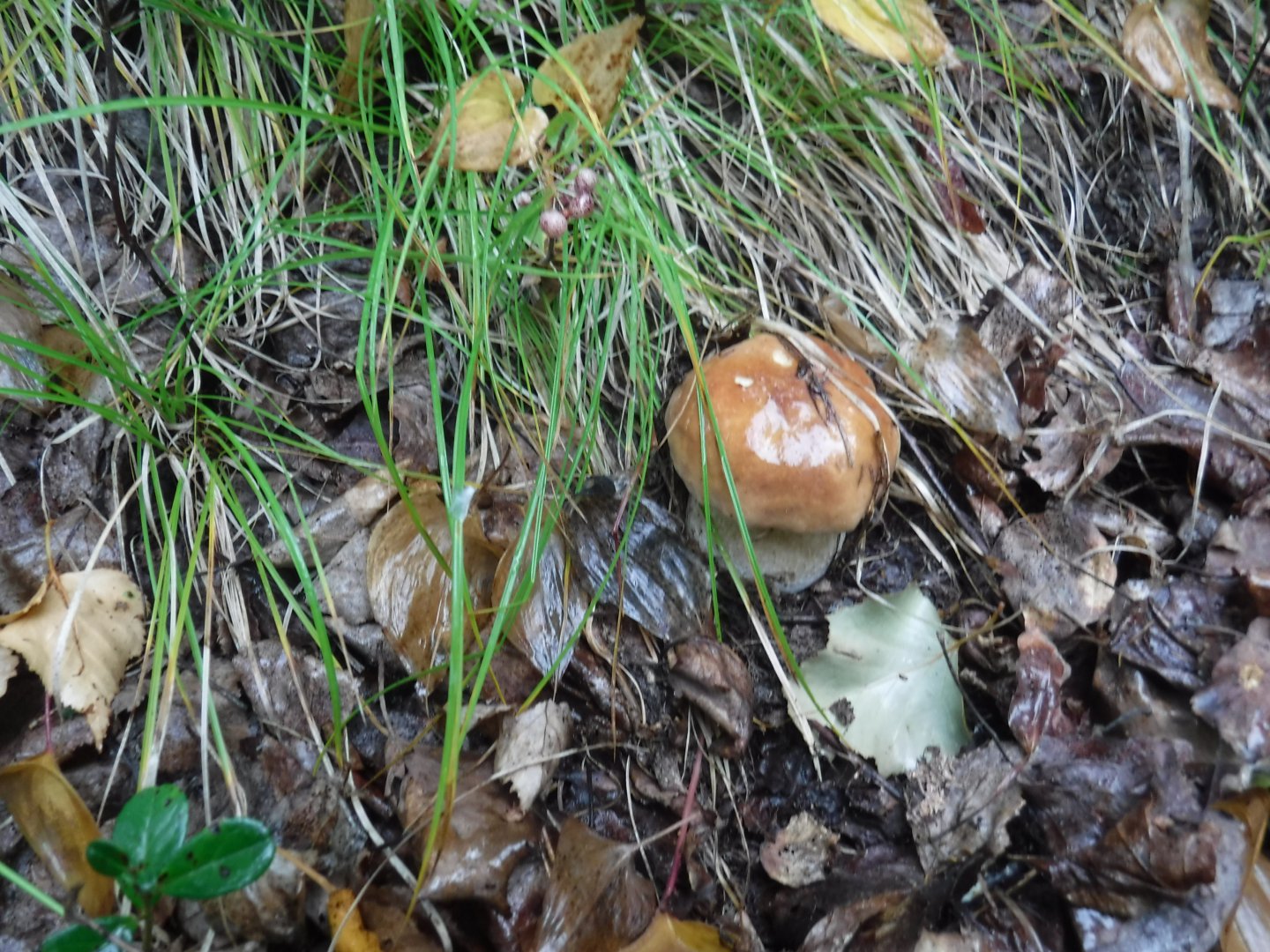 DSCF3755.JPG