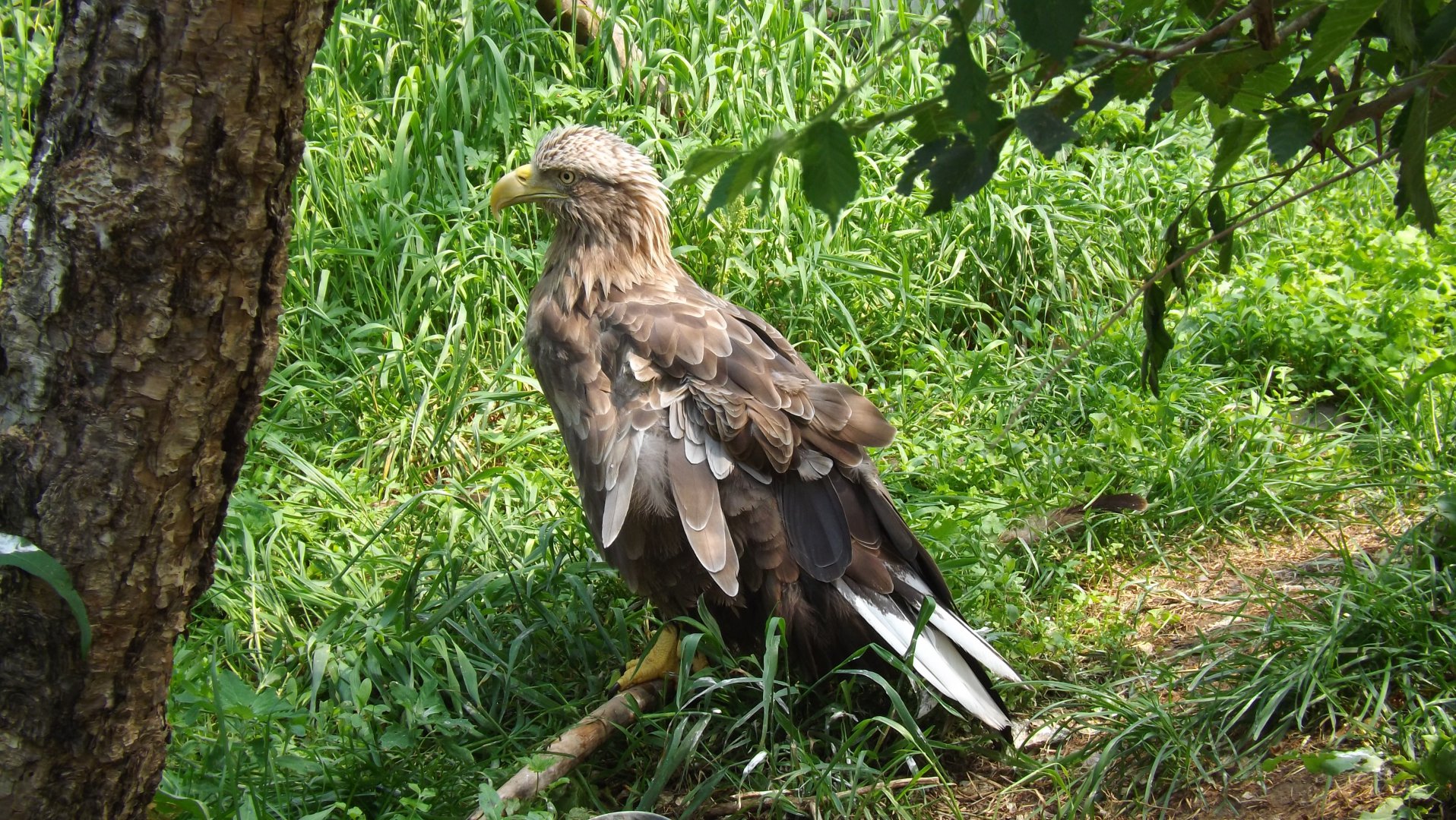 DSCF3760.JPG