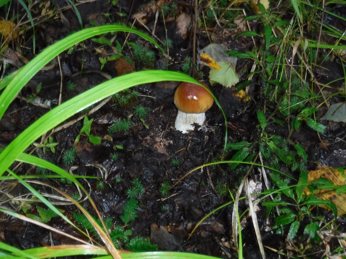 DSCF3764.JPG